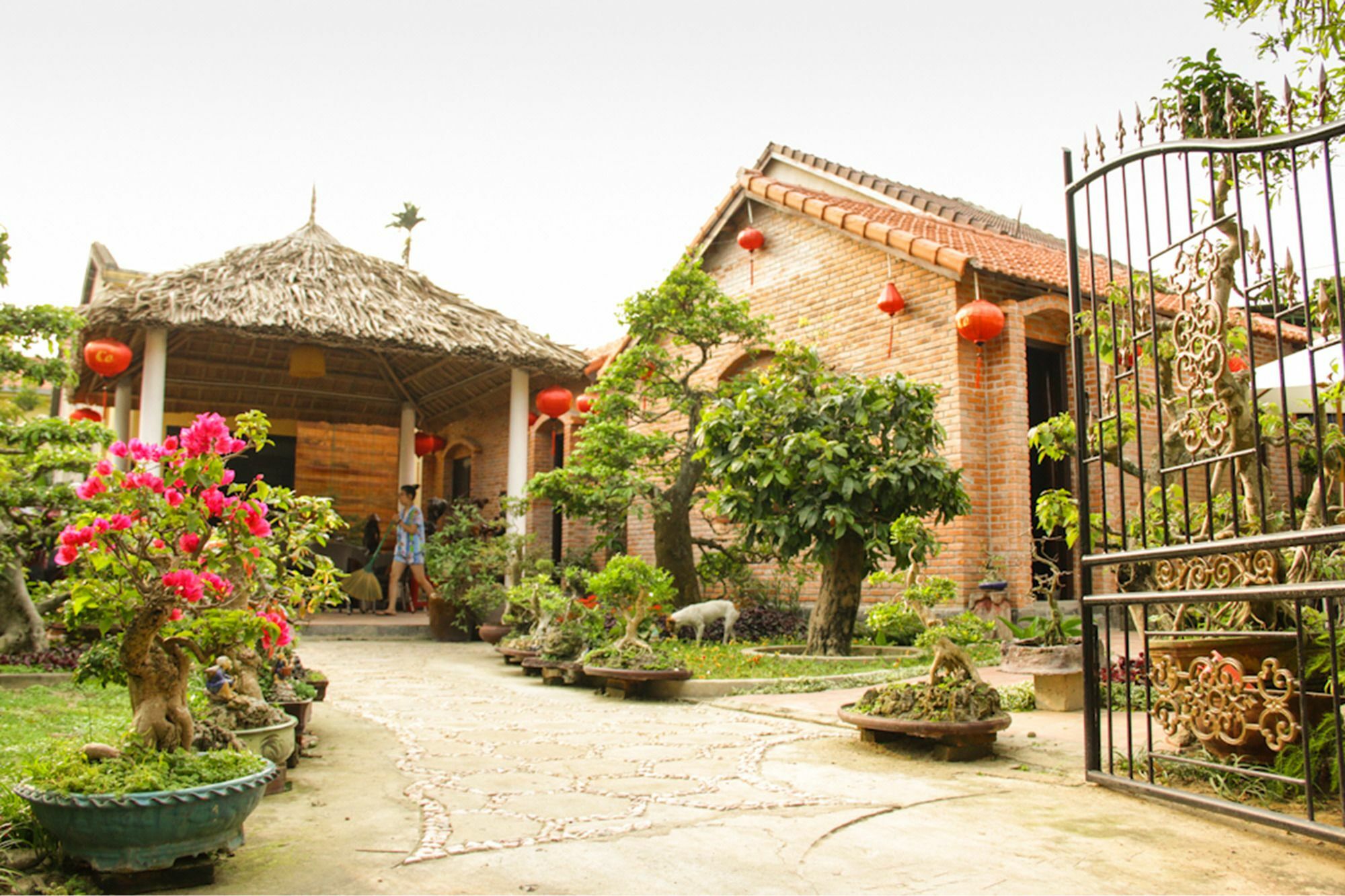 The Grass Vy Homestay