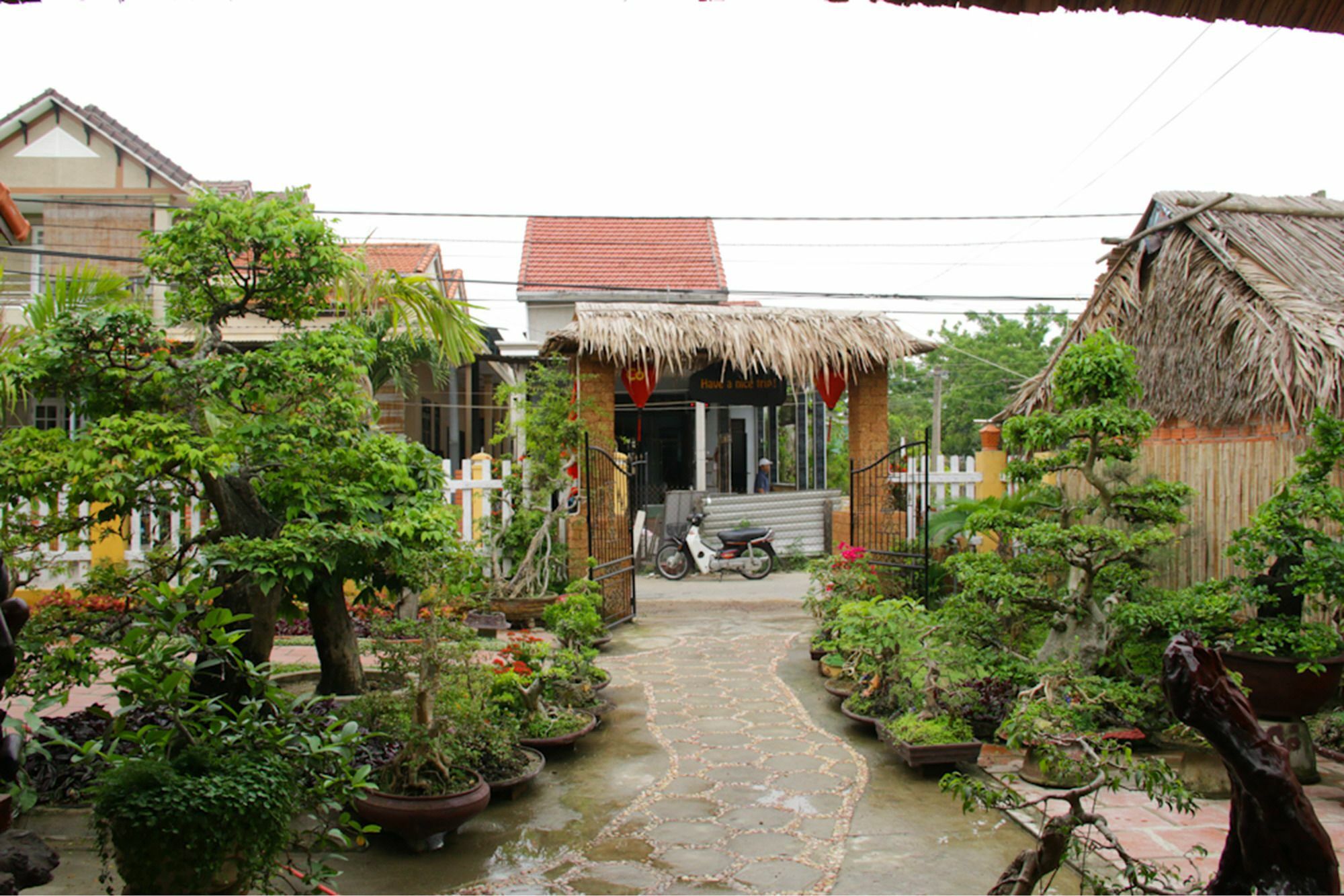 The Grass Vy Homestay *