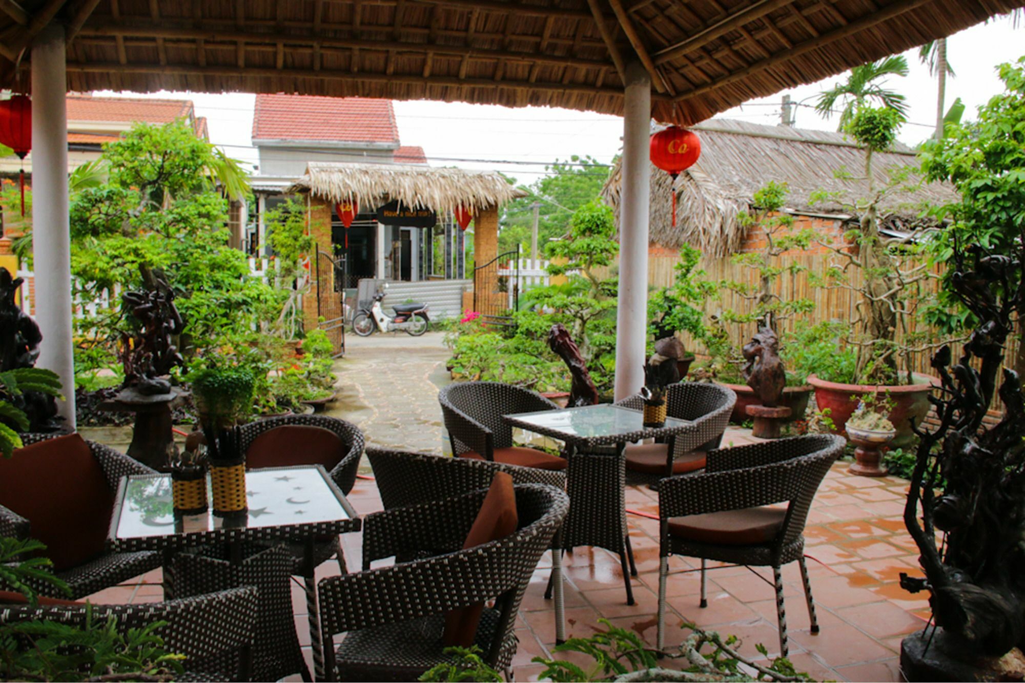 The Grass Vy * Hoi An