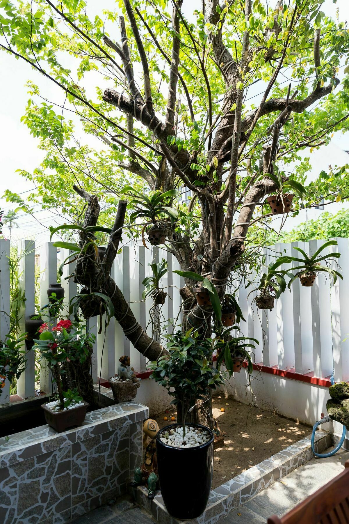 Homestay Golden Time Hoi An