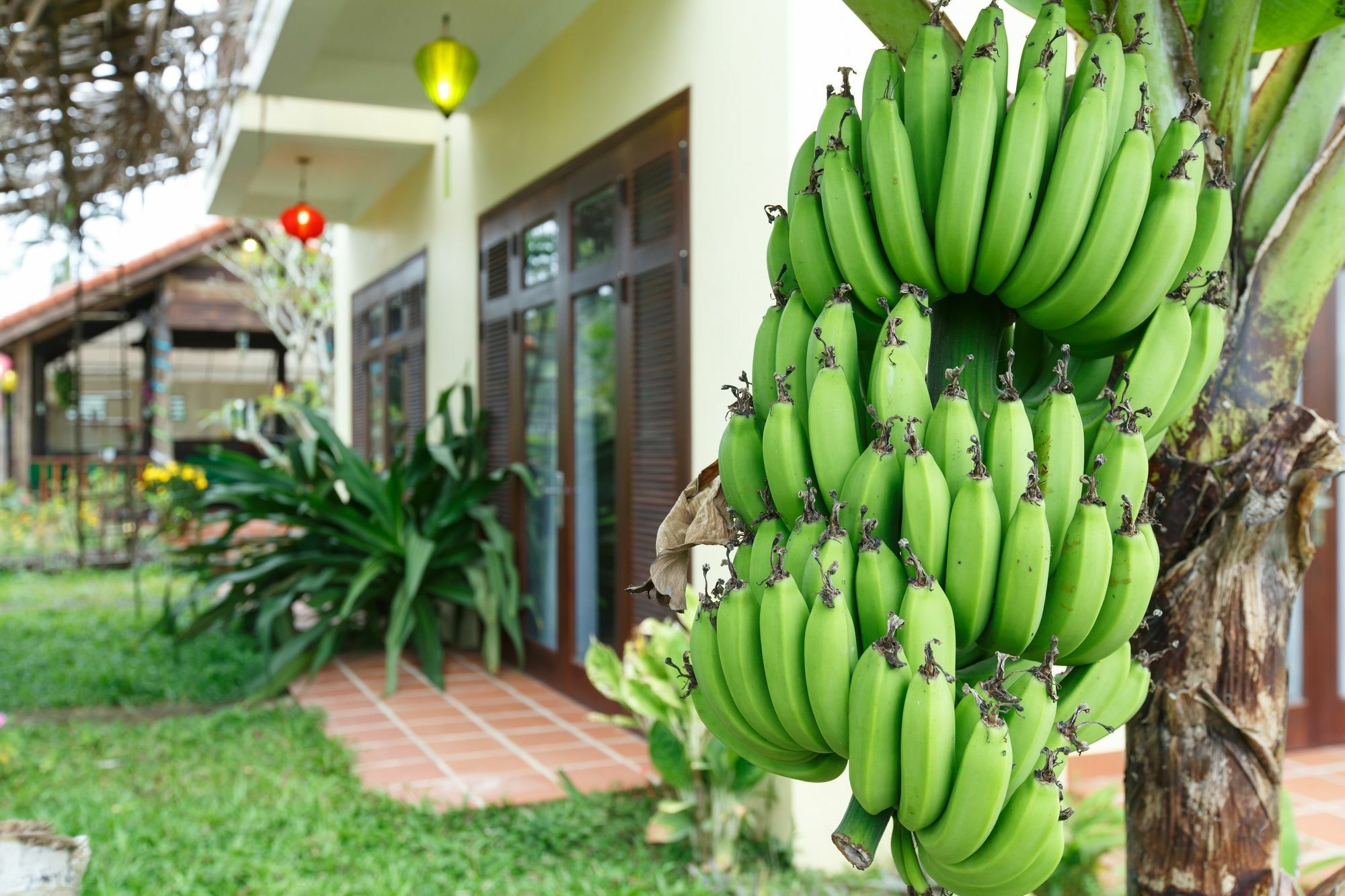 Lama Homestay Hoi An 3* Hoi An