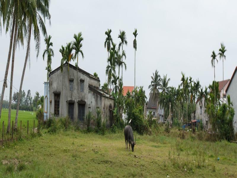 Hotel Lama Homestay Hoi An