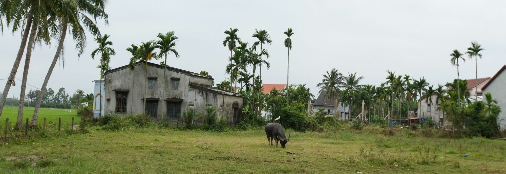 Lama Homestay Hoi An Hotel Hoi An