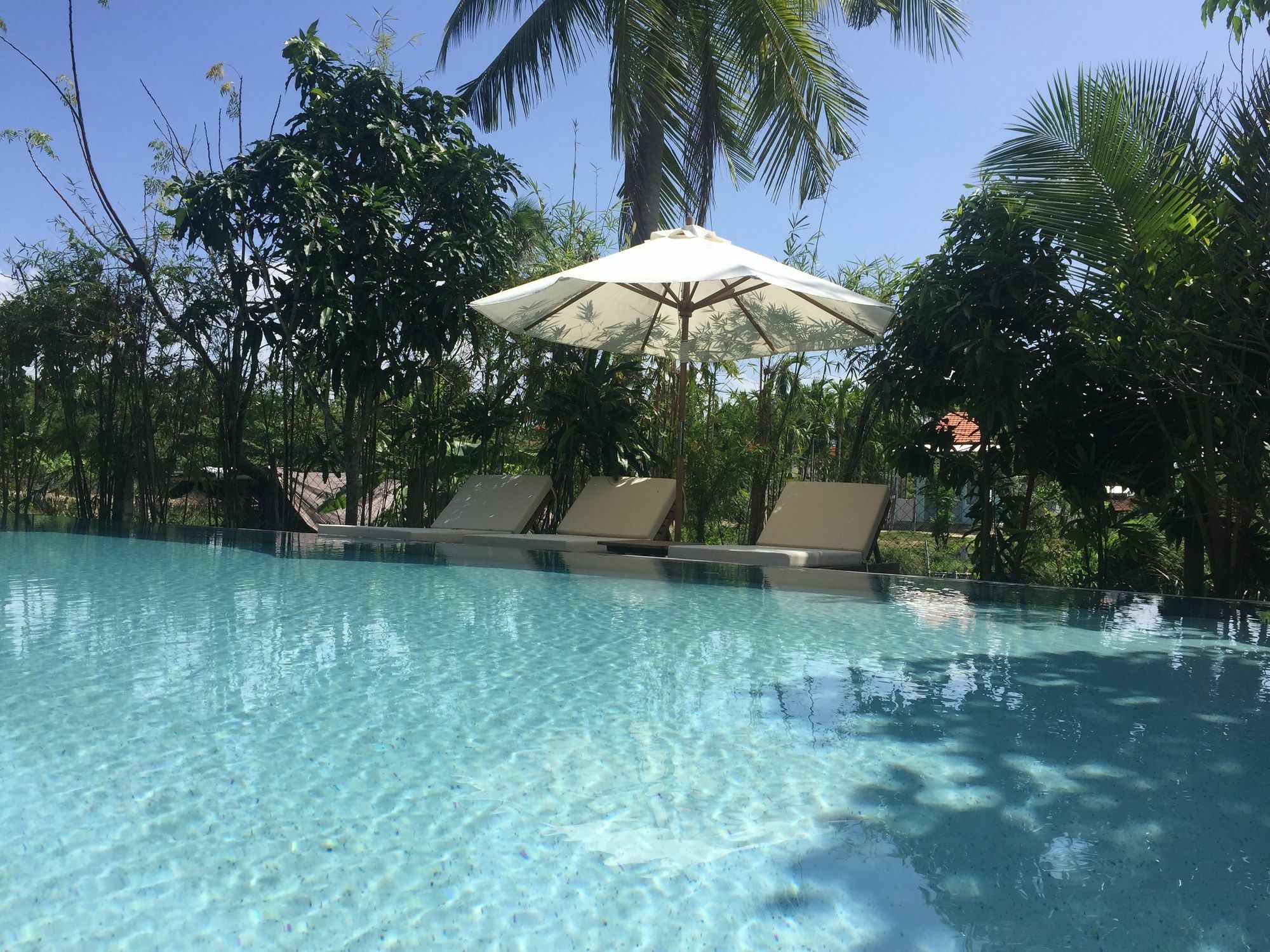 Palm View