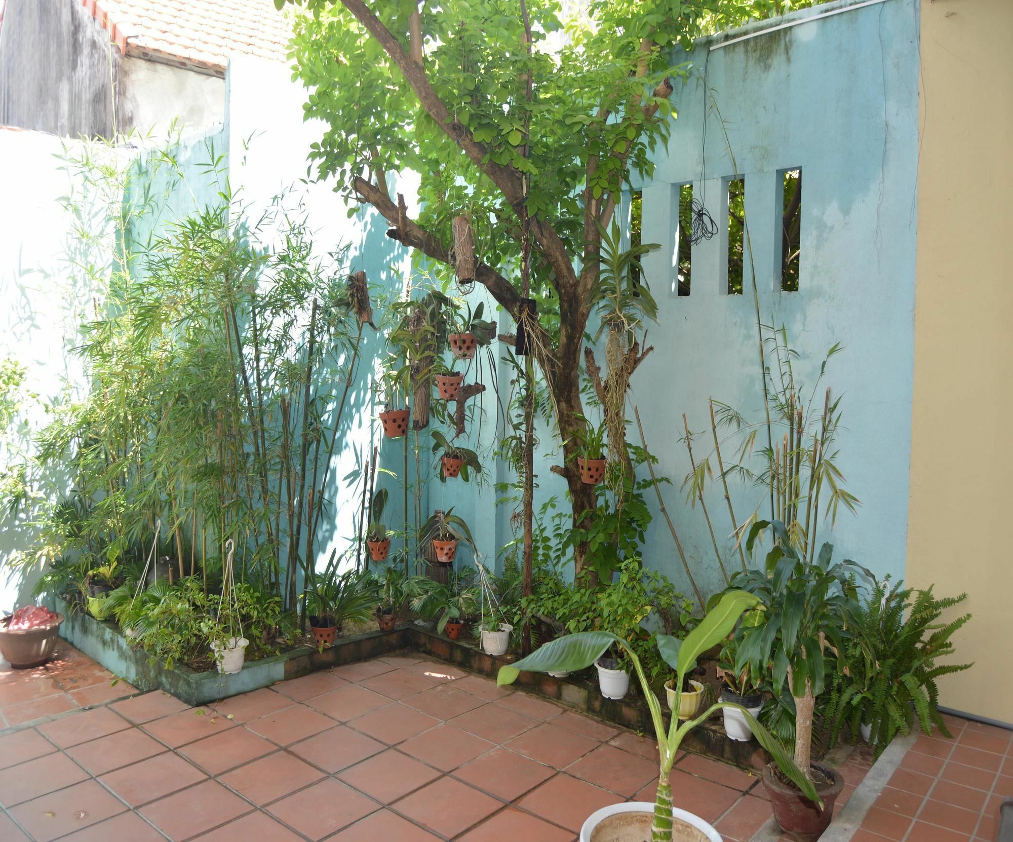 Orchids Homestay