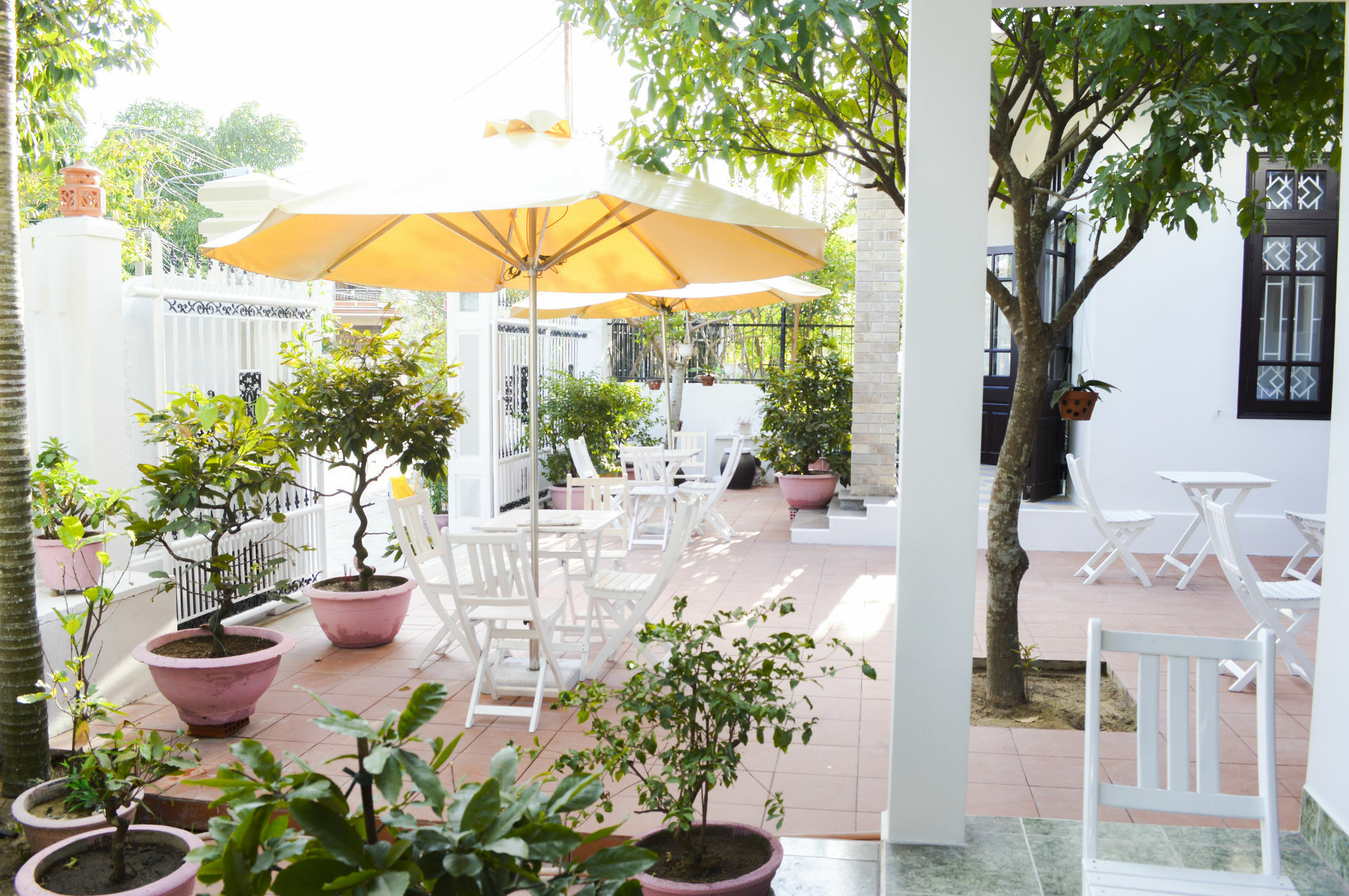 Halo Homestay *