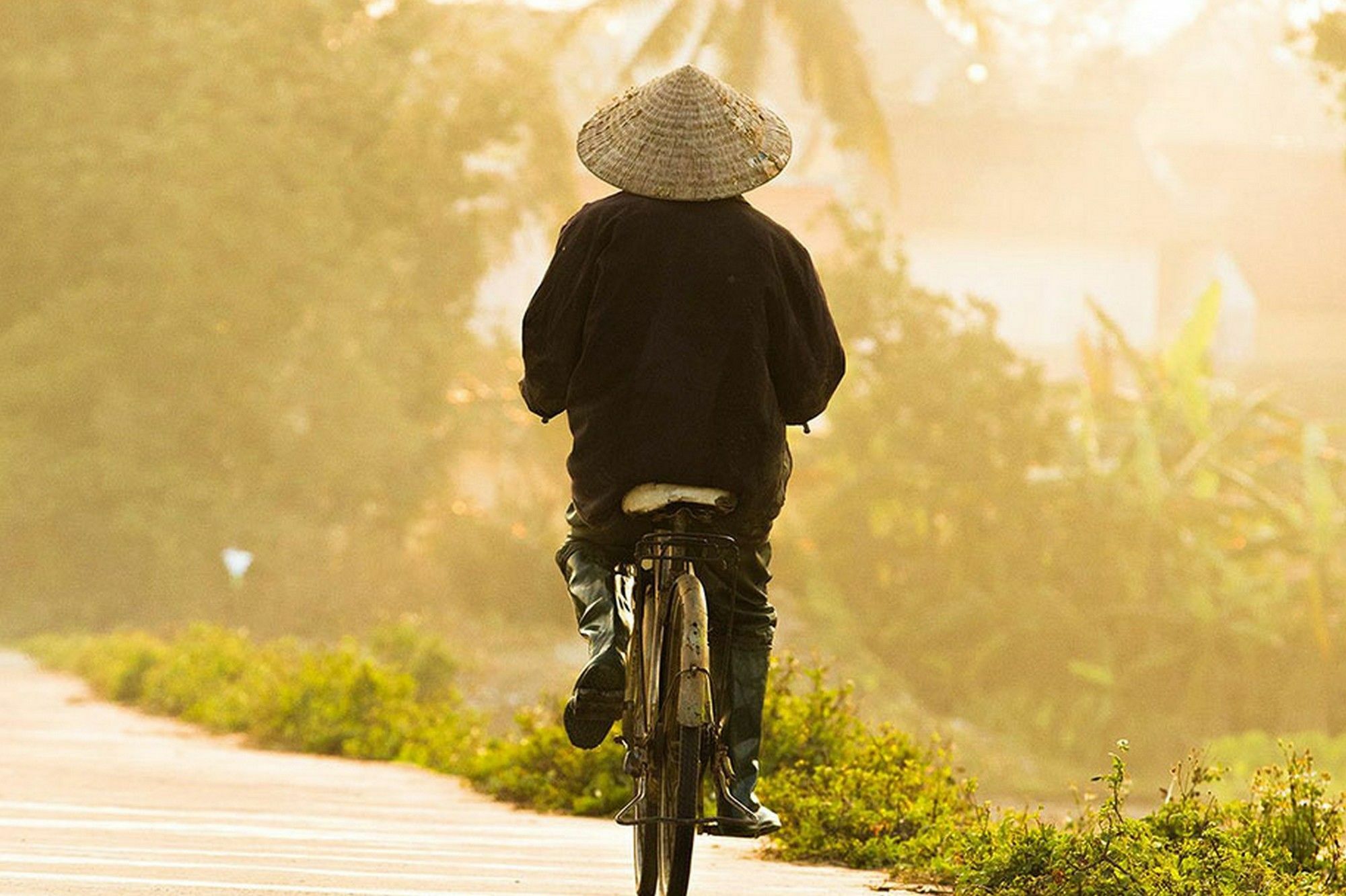 Homestay Hop Y Hoi An