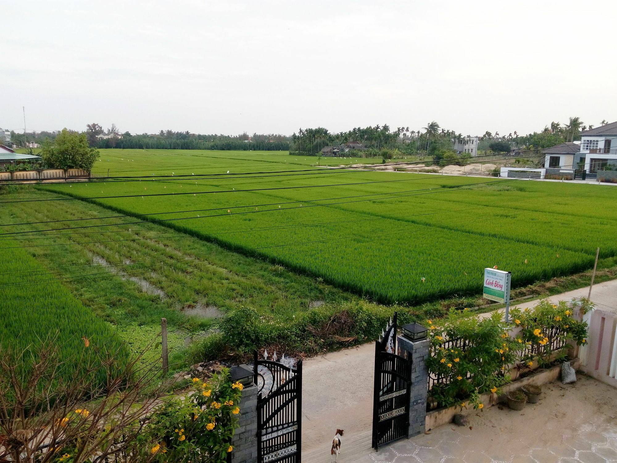 The Field Homestay