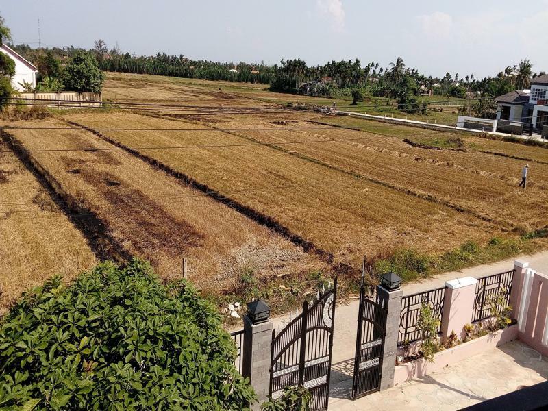 Homestay The Field