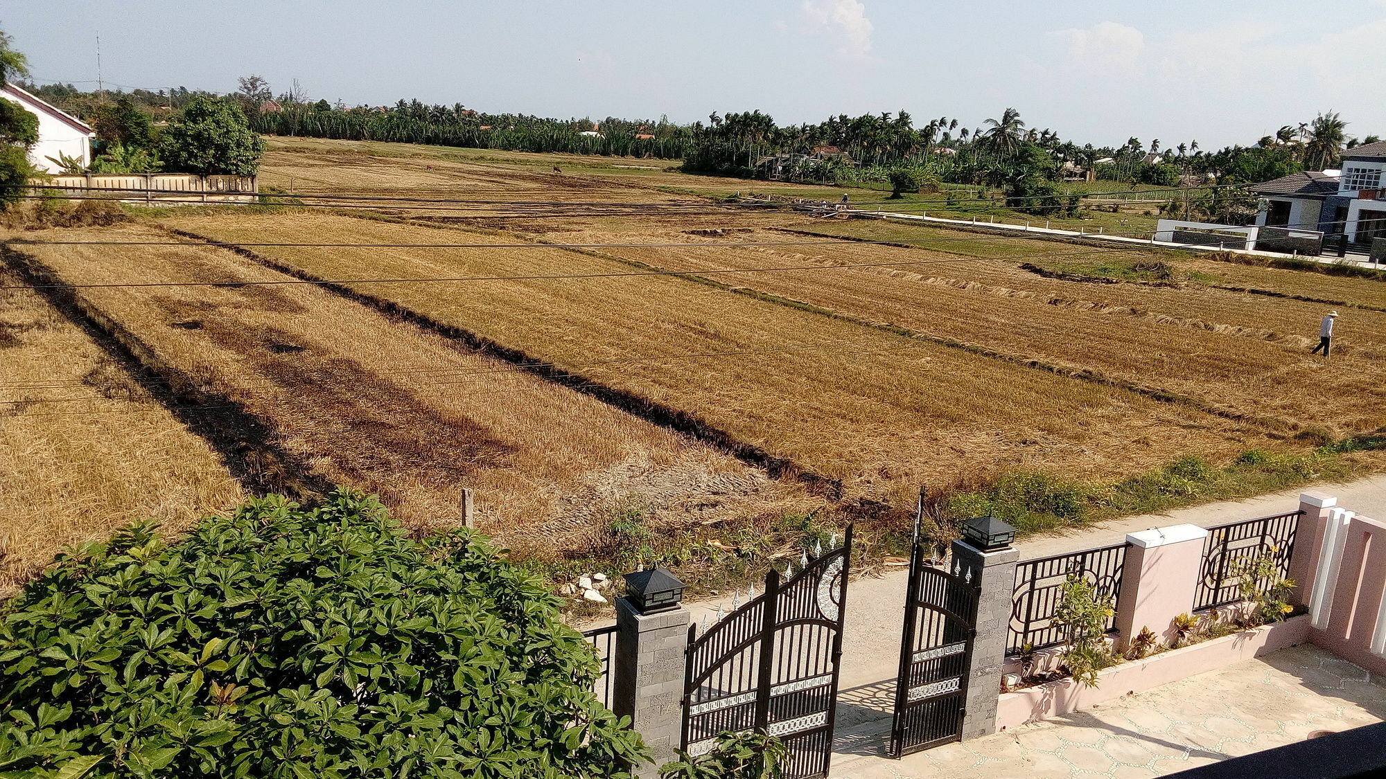 The Field Homestay