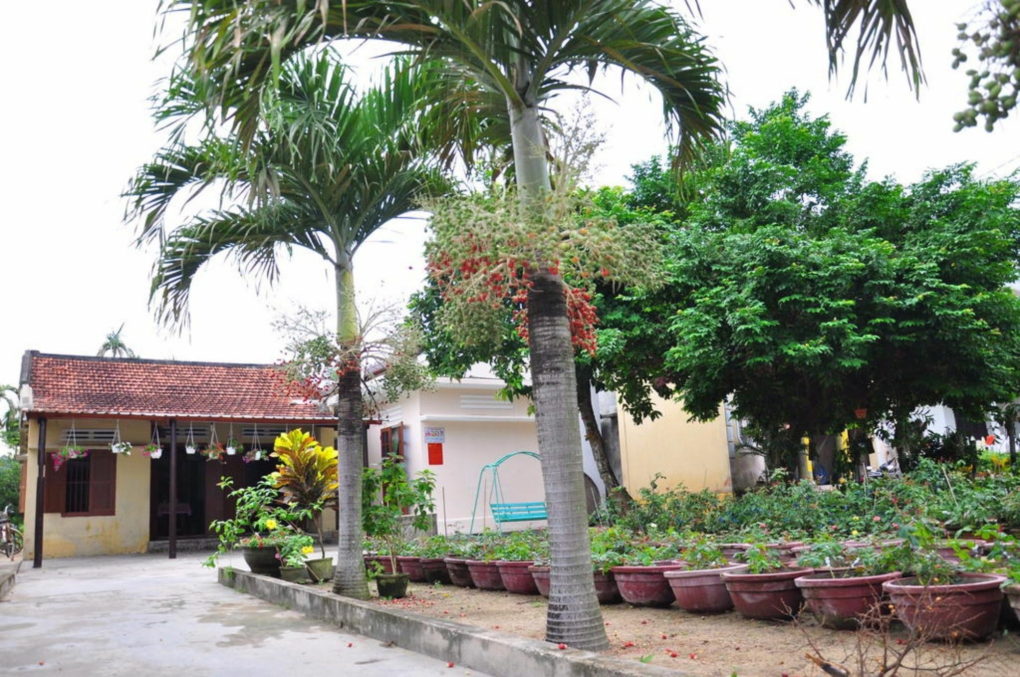 Petunia Garden Homestay&hostel *