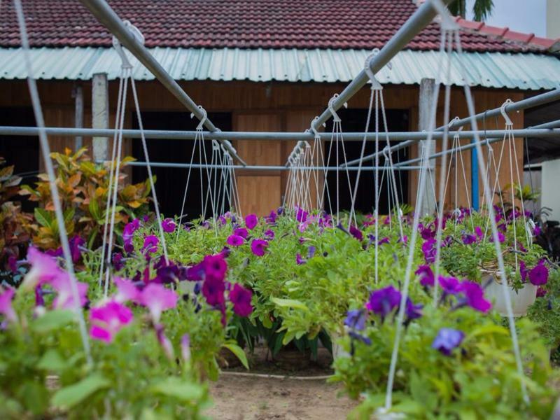 Petunia Garden Homestay&hostel Privatunterkunft *