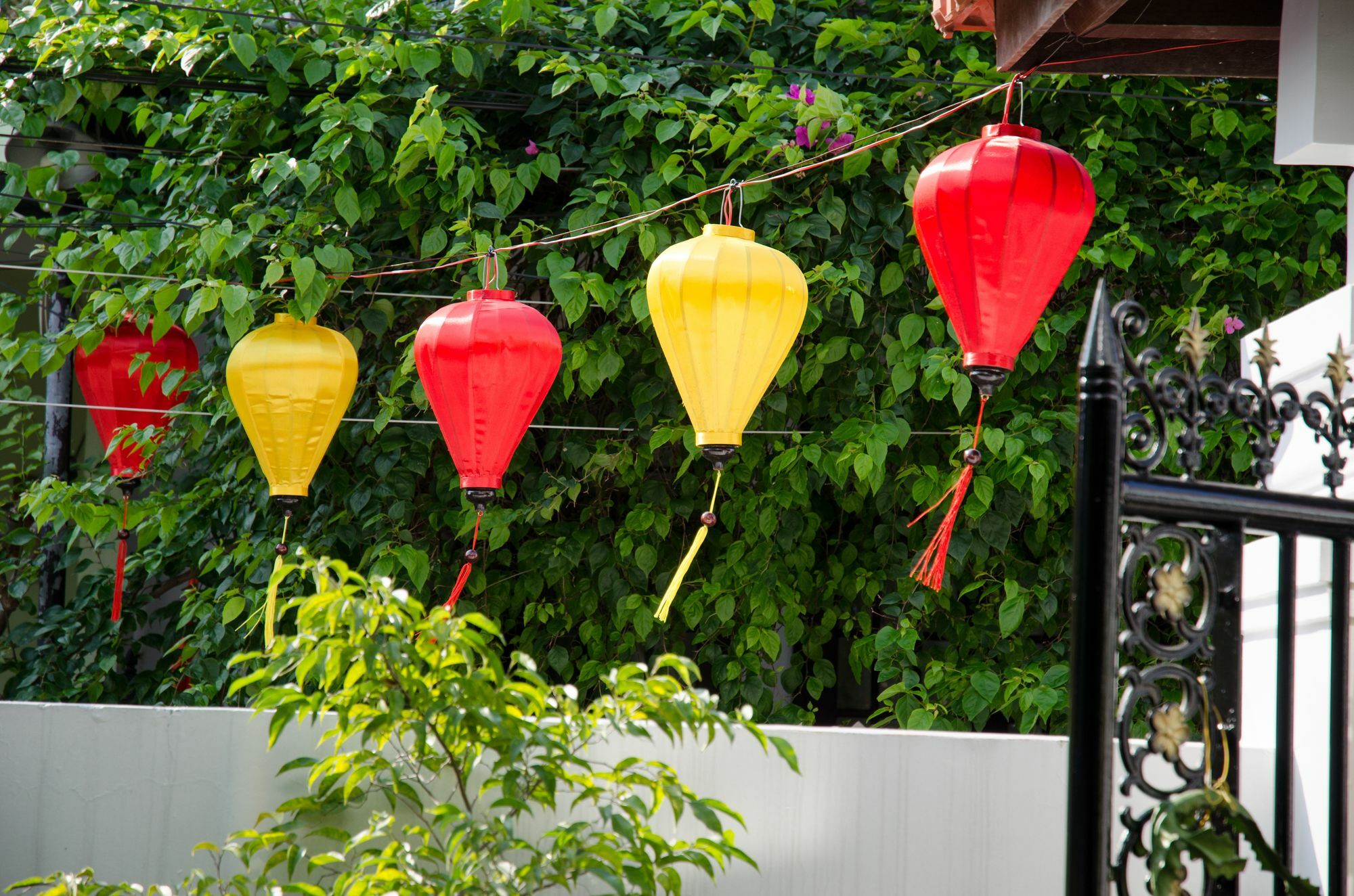 Thao Hieu * Hoi An