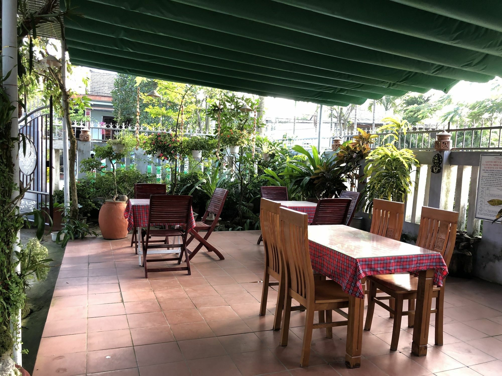 Milk Fruit - An Bang Homestay Hoi An