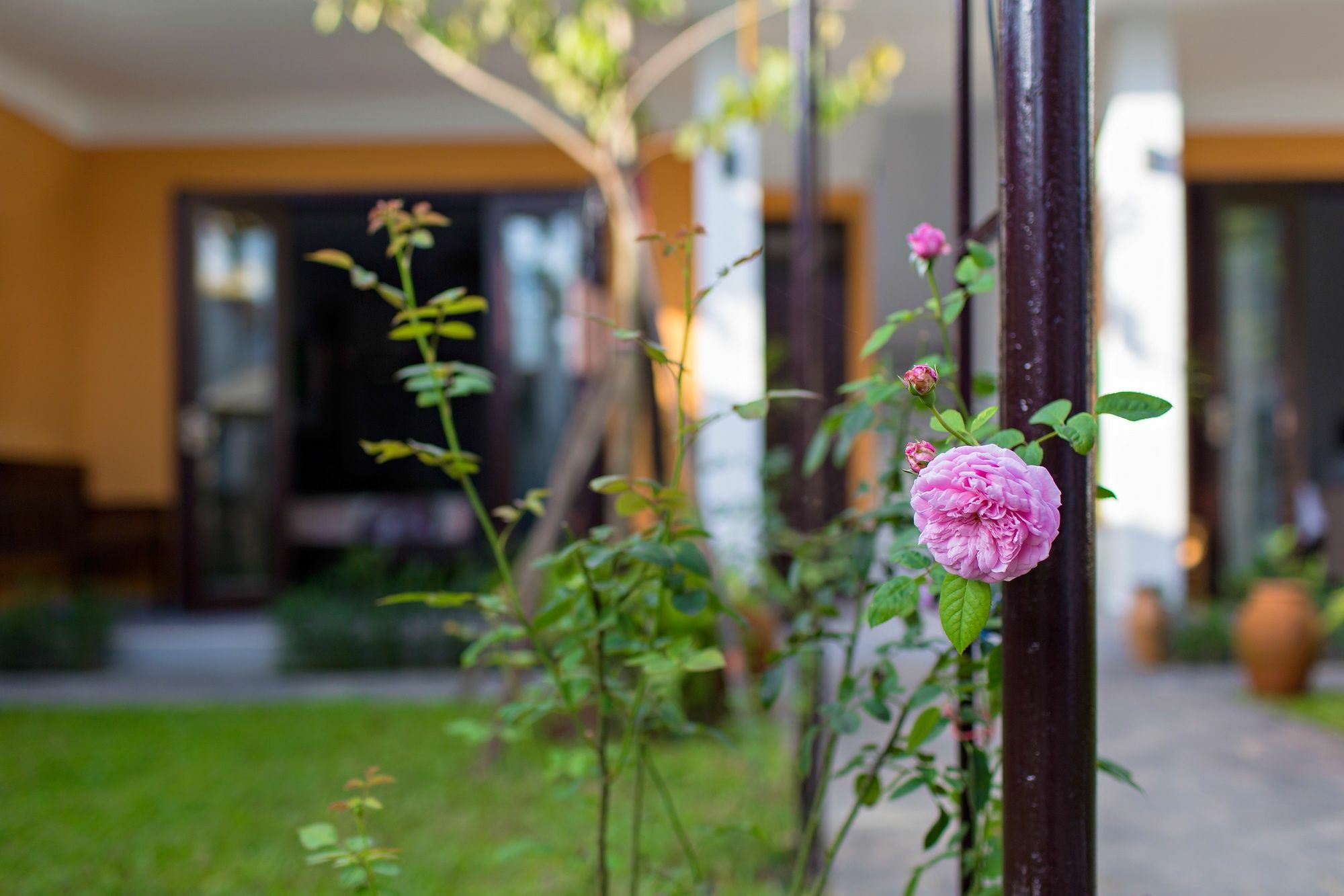 Vila Ohana Gadren By Cocoviet Hoi An
