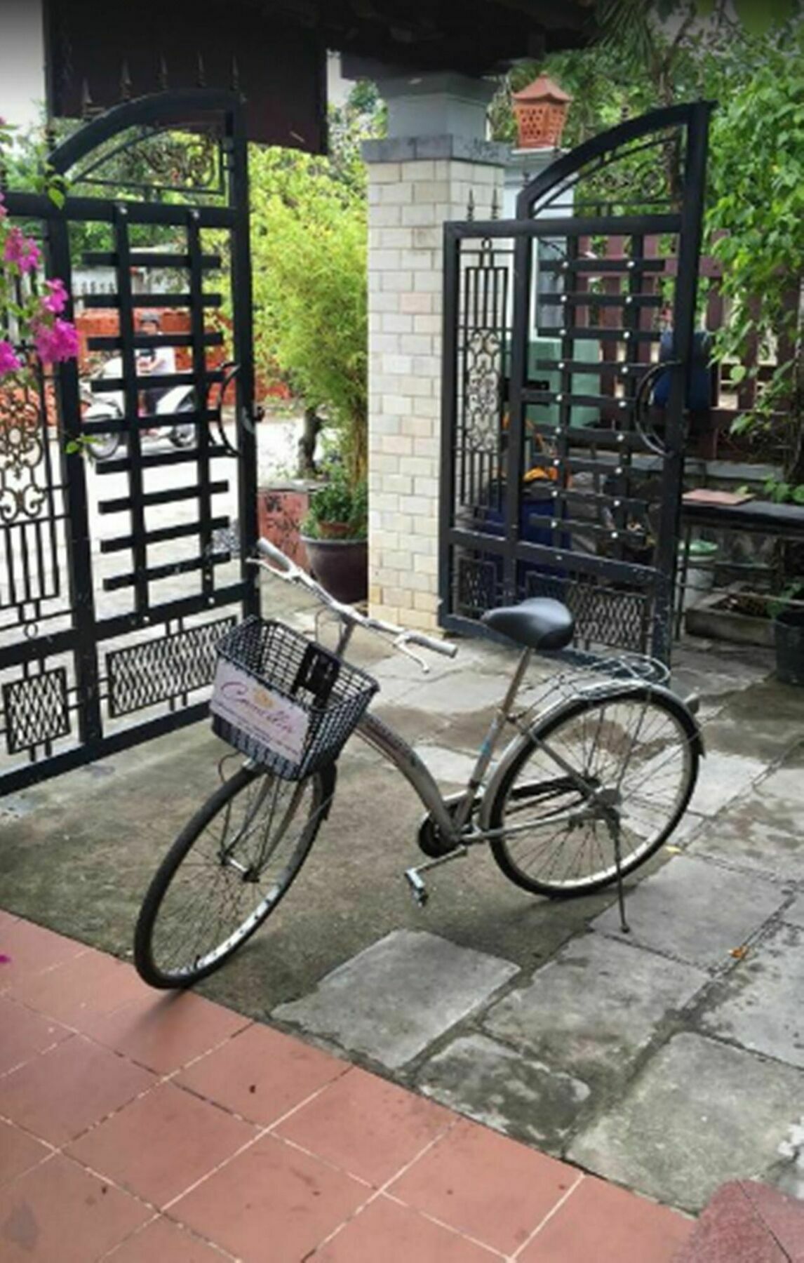Homestay Camellia *