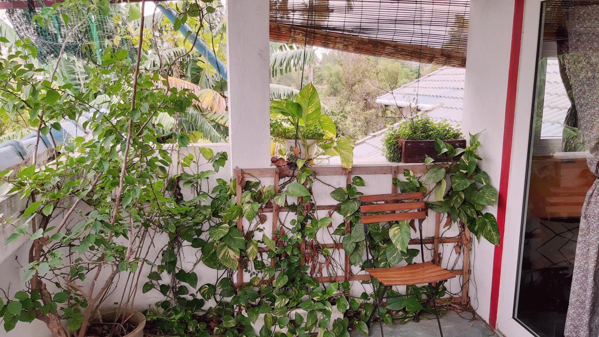 Bed & Breakfast La Terrazza 2*