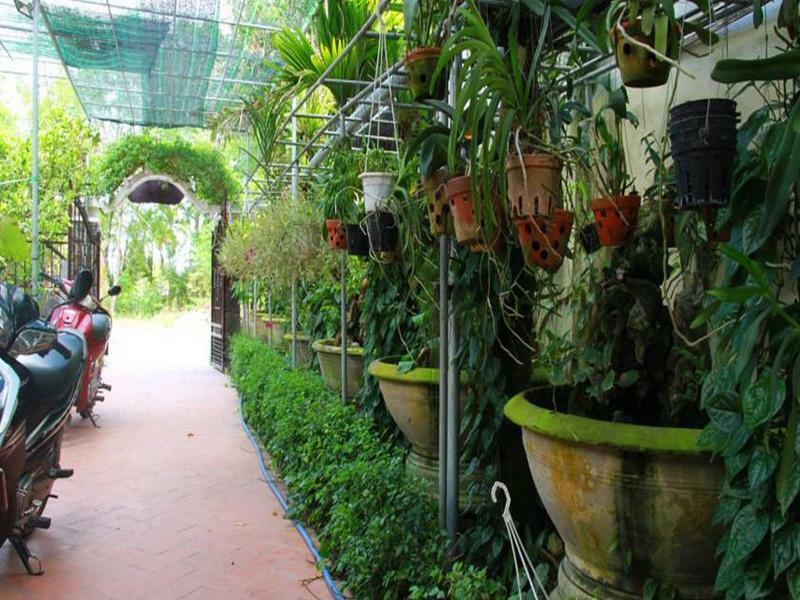 Leaf Homestay Hoi An