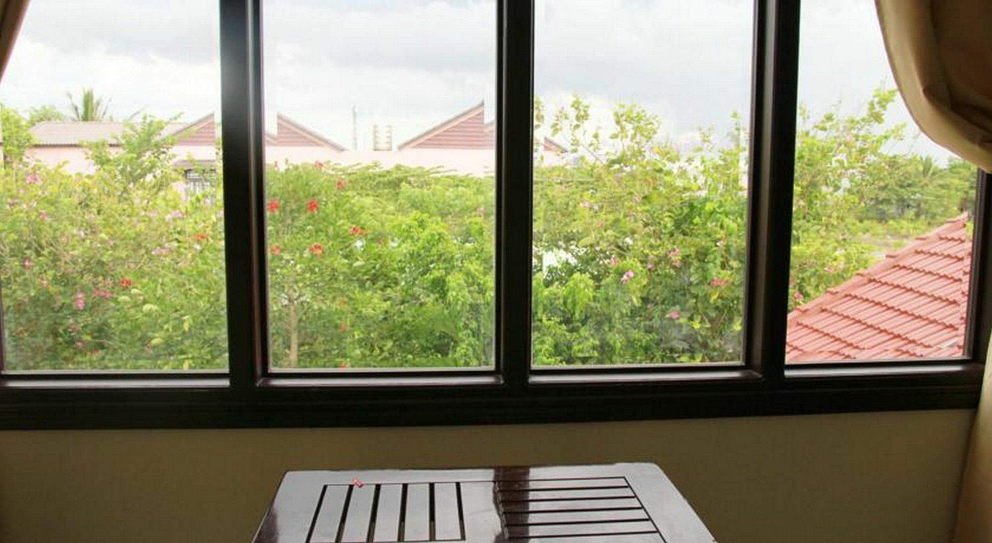 Leaf * Hoi An