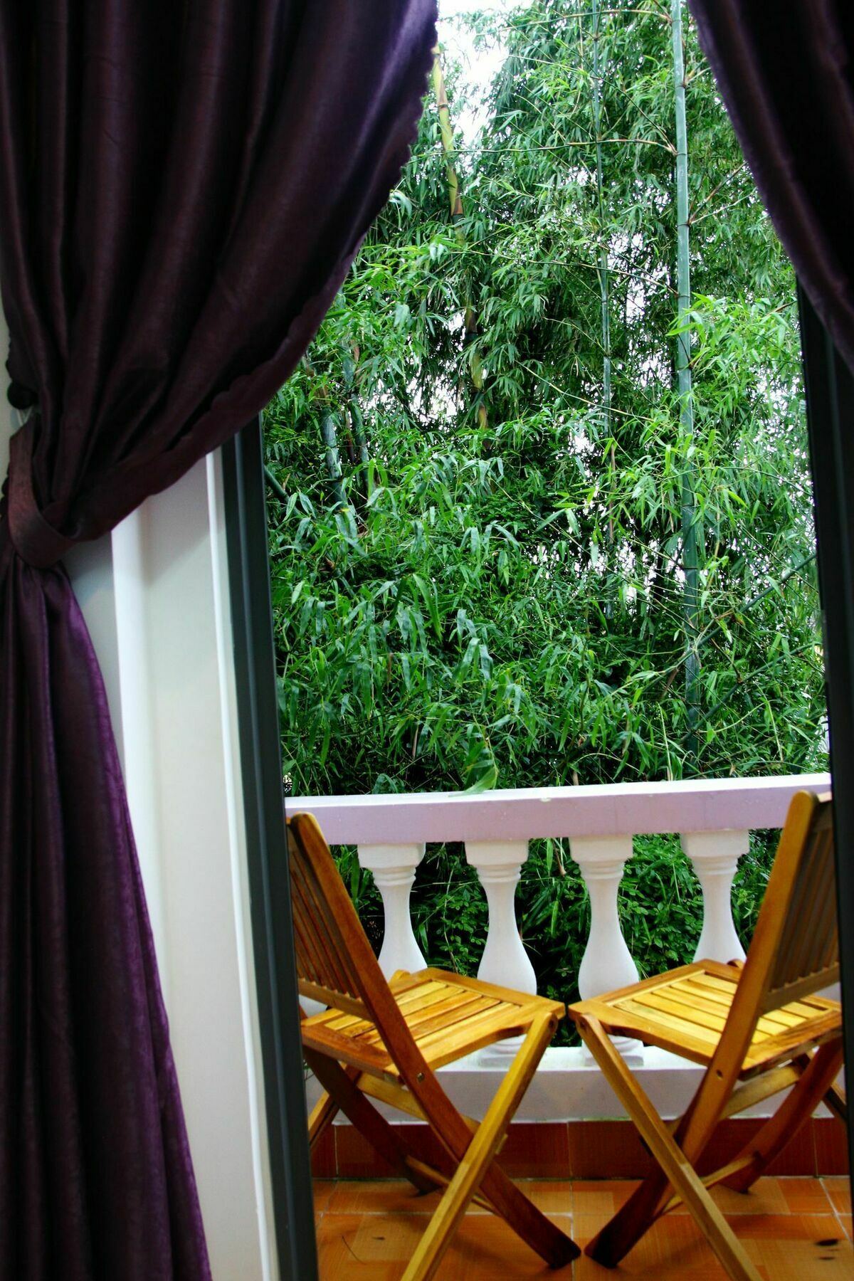 Homestay Purple Garden