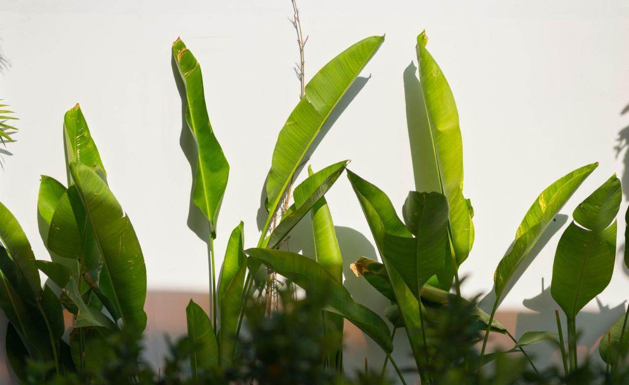 Saclo And 3* Hoi An