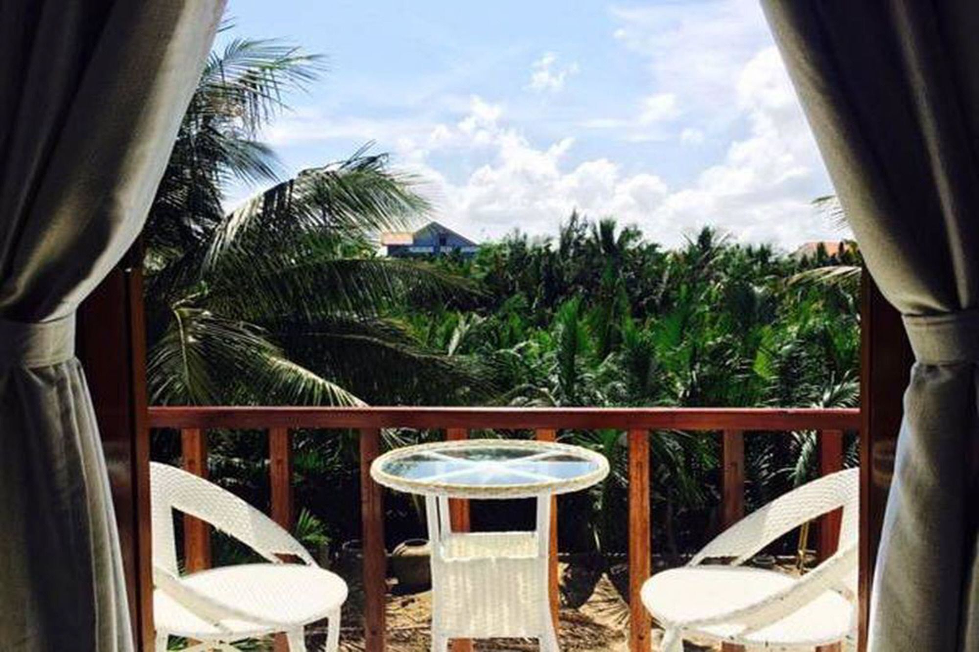 Coconut Garden