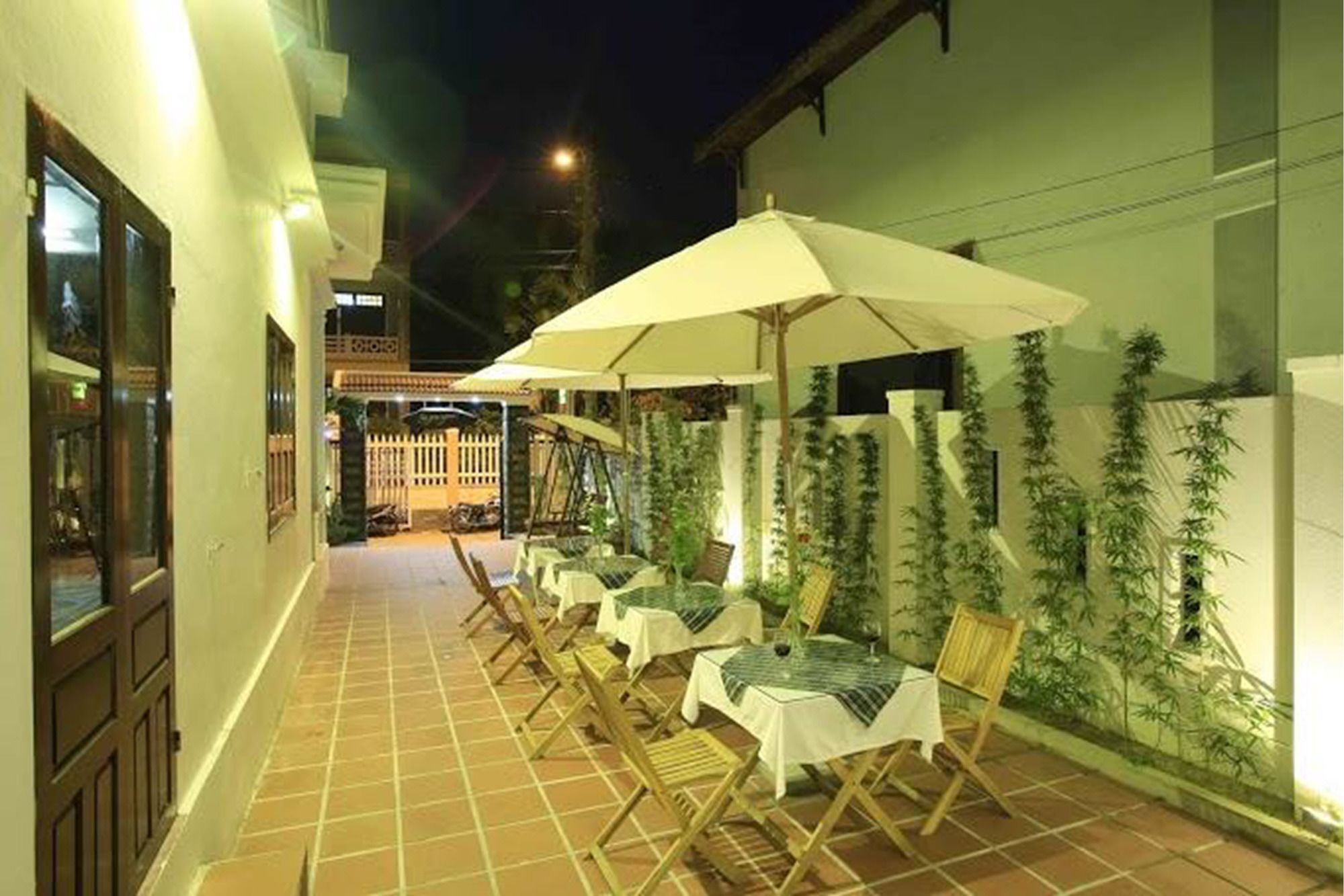 Coconut Garden *
