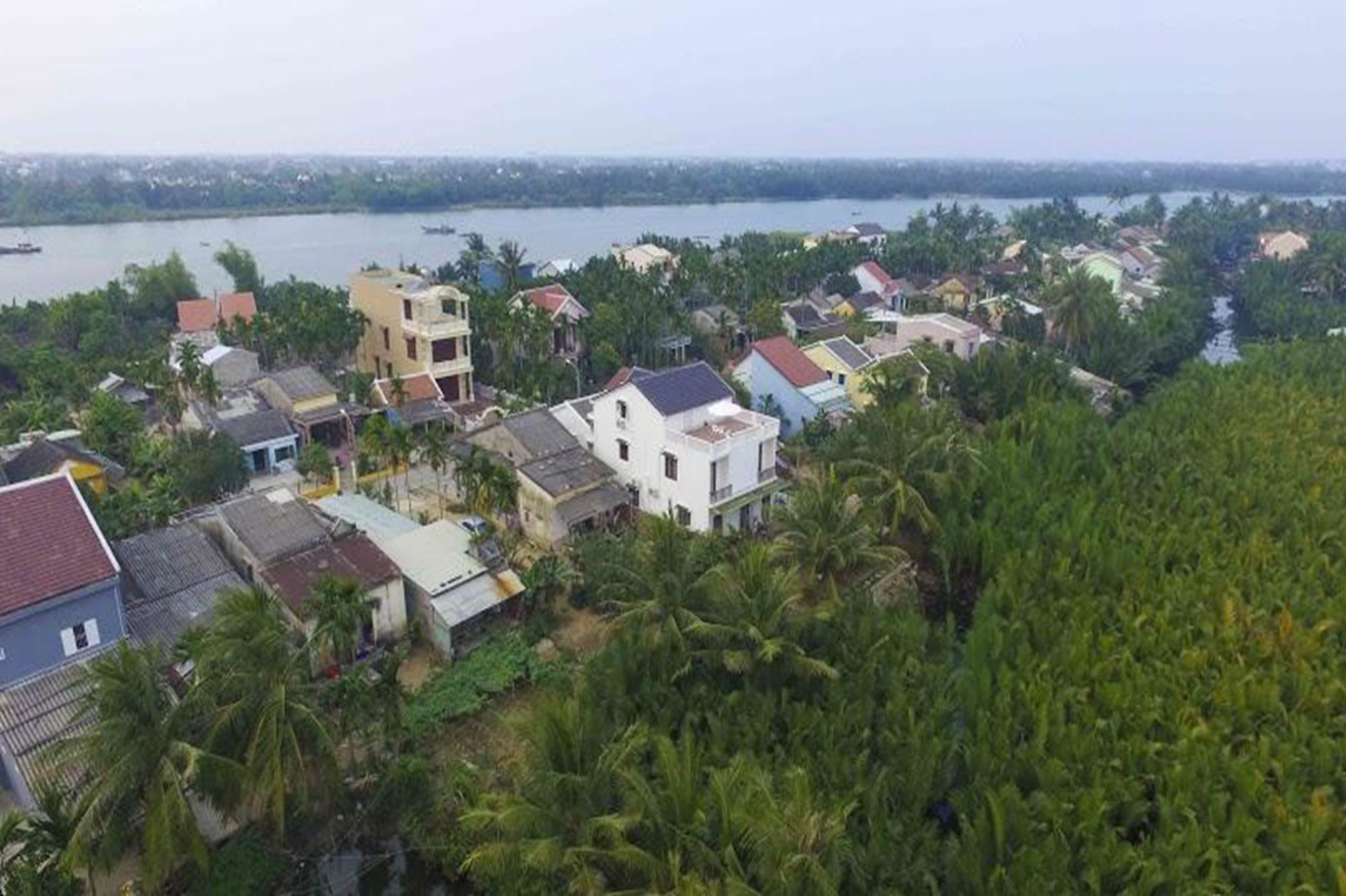Homestay Coconut Garden