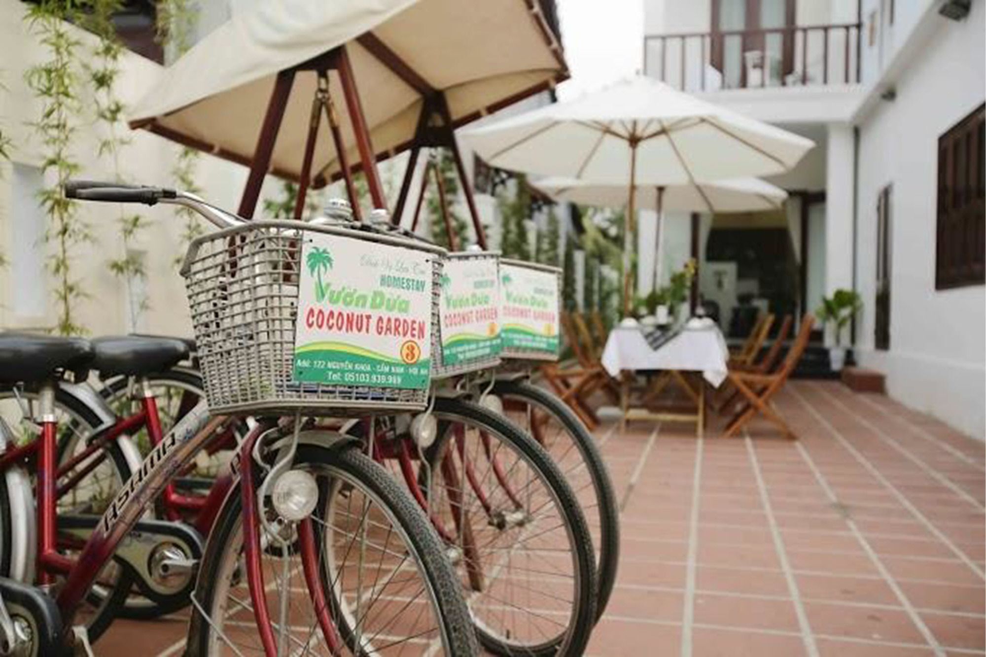 Coconut Garden Homestay