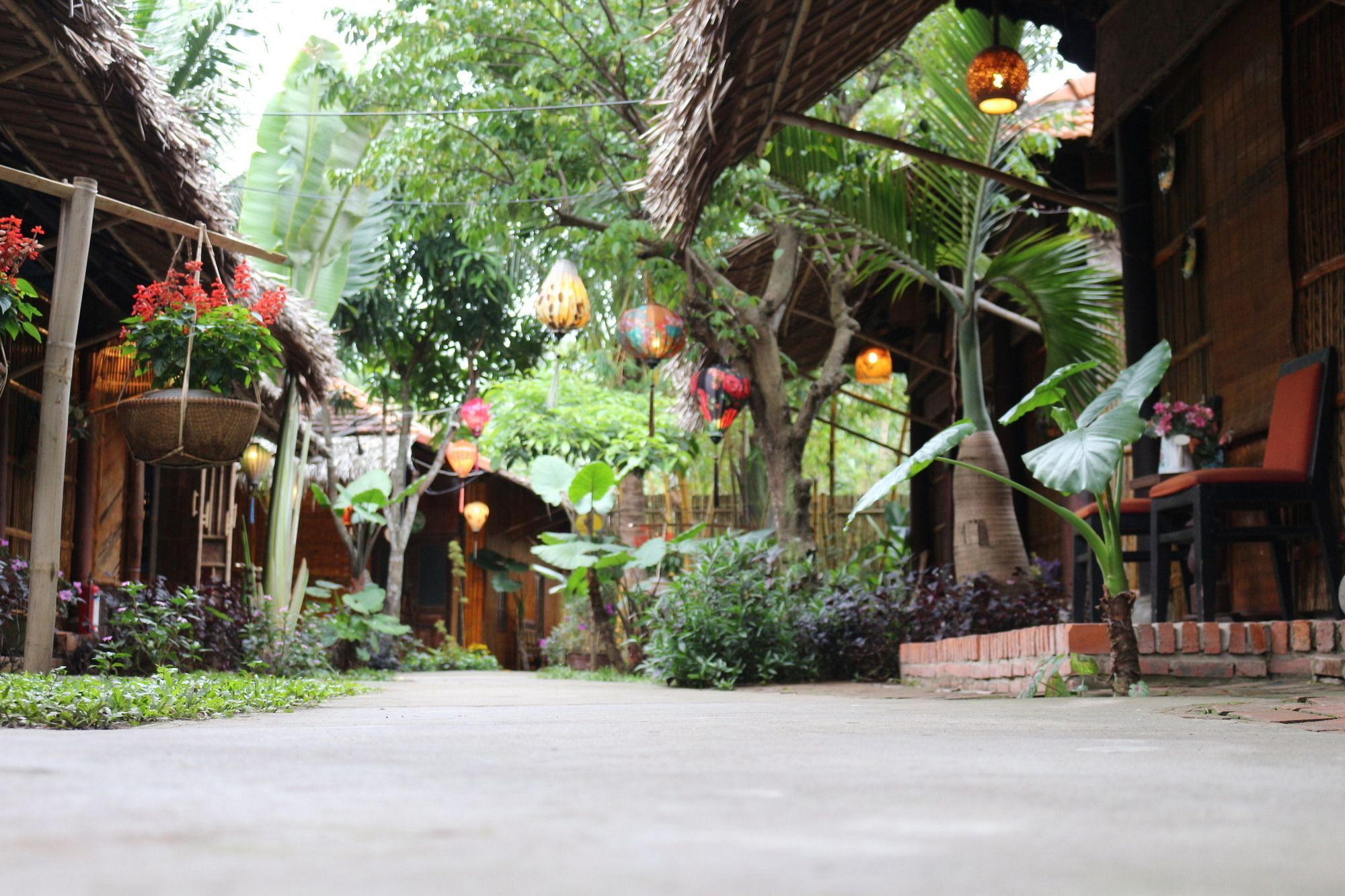 Khách sạn Under The Coconut Tree 3*