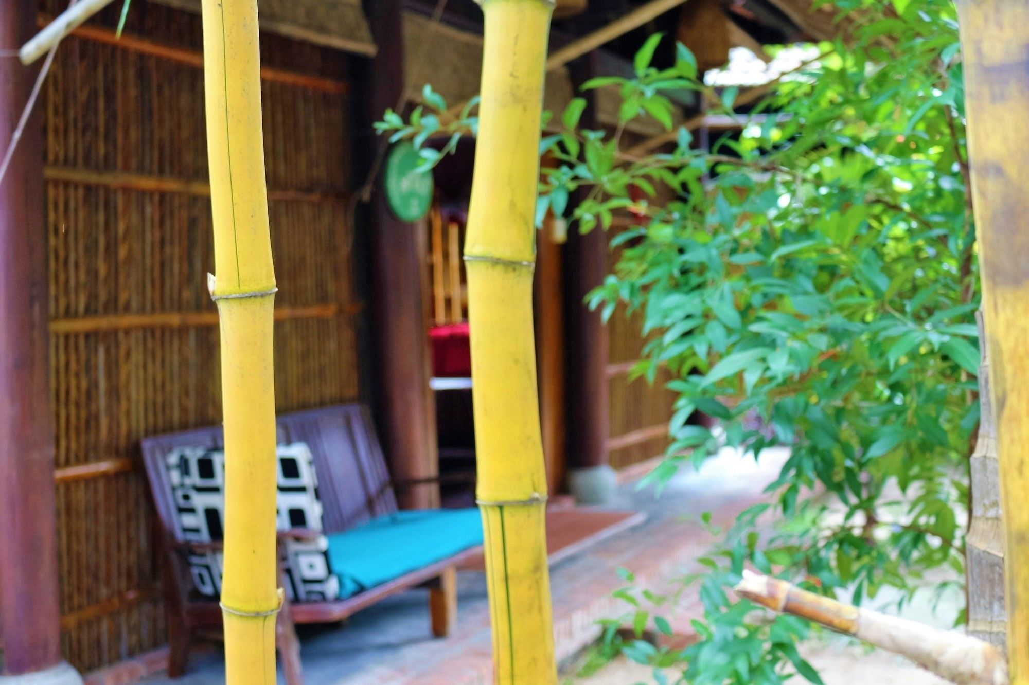 Under The Coconut Tree 3*