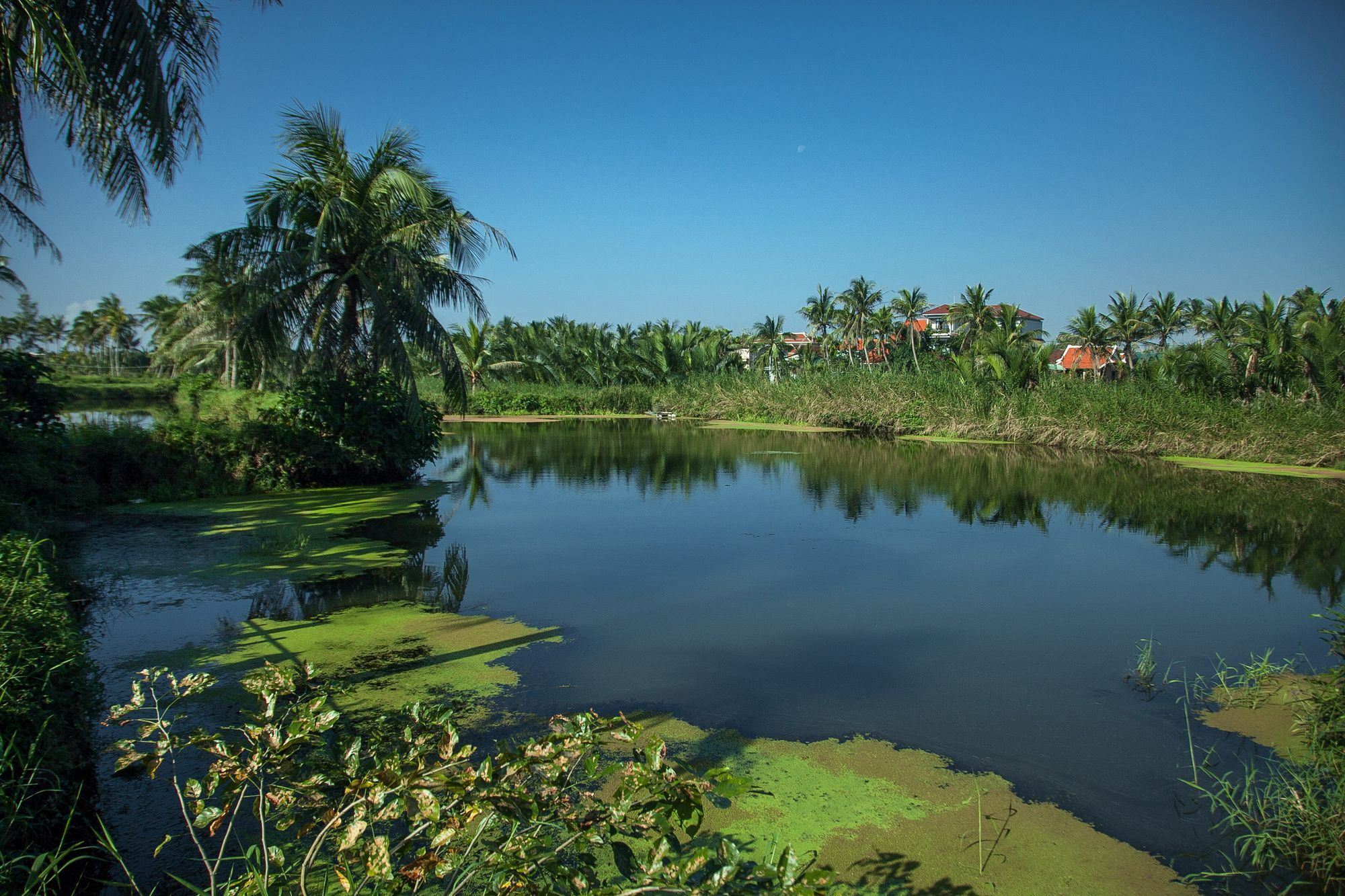 An Hotel Hoi An
