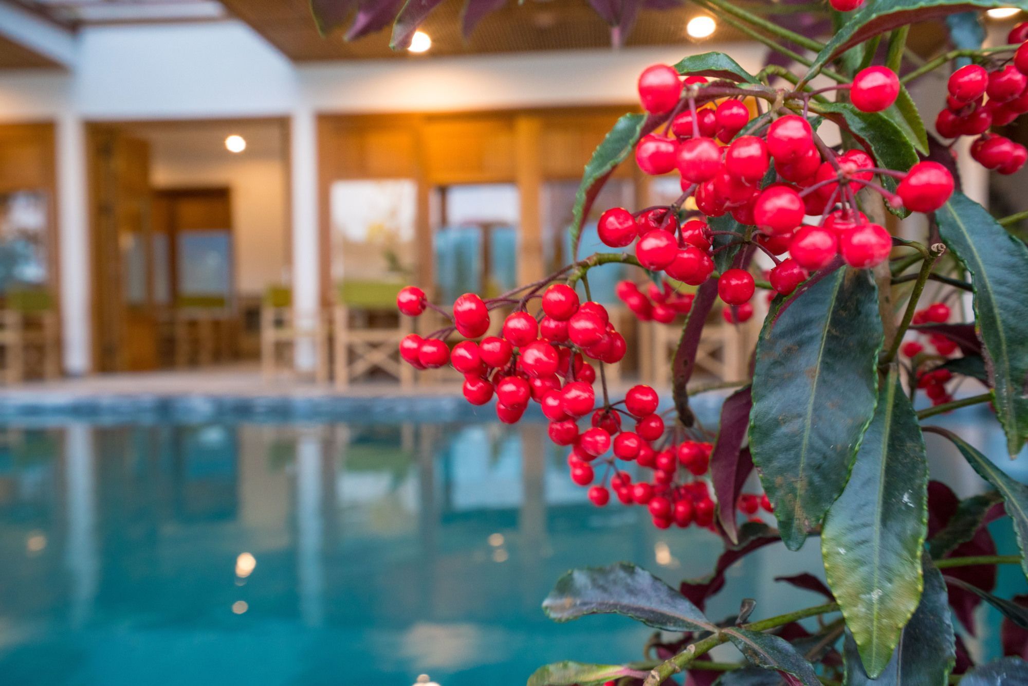 Hotel Zen Boutique - Eco-friendly
