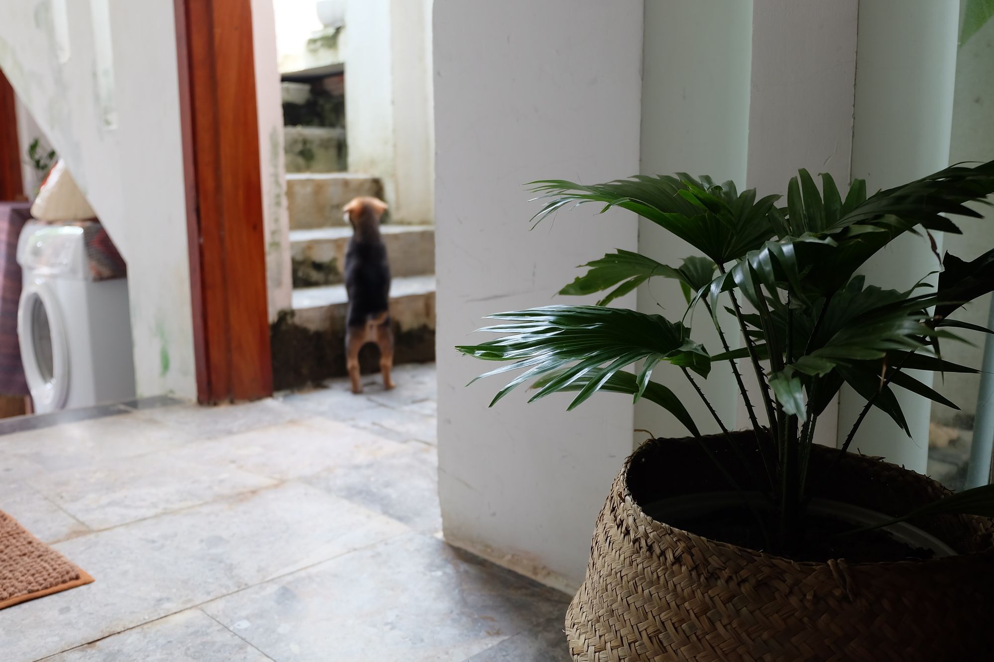 Mali 1 2* Hoi An