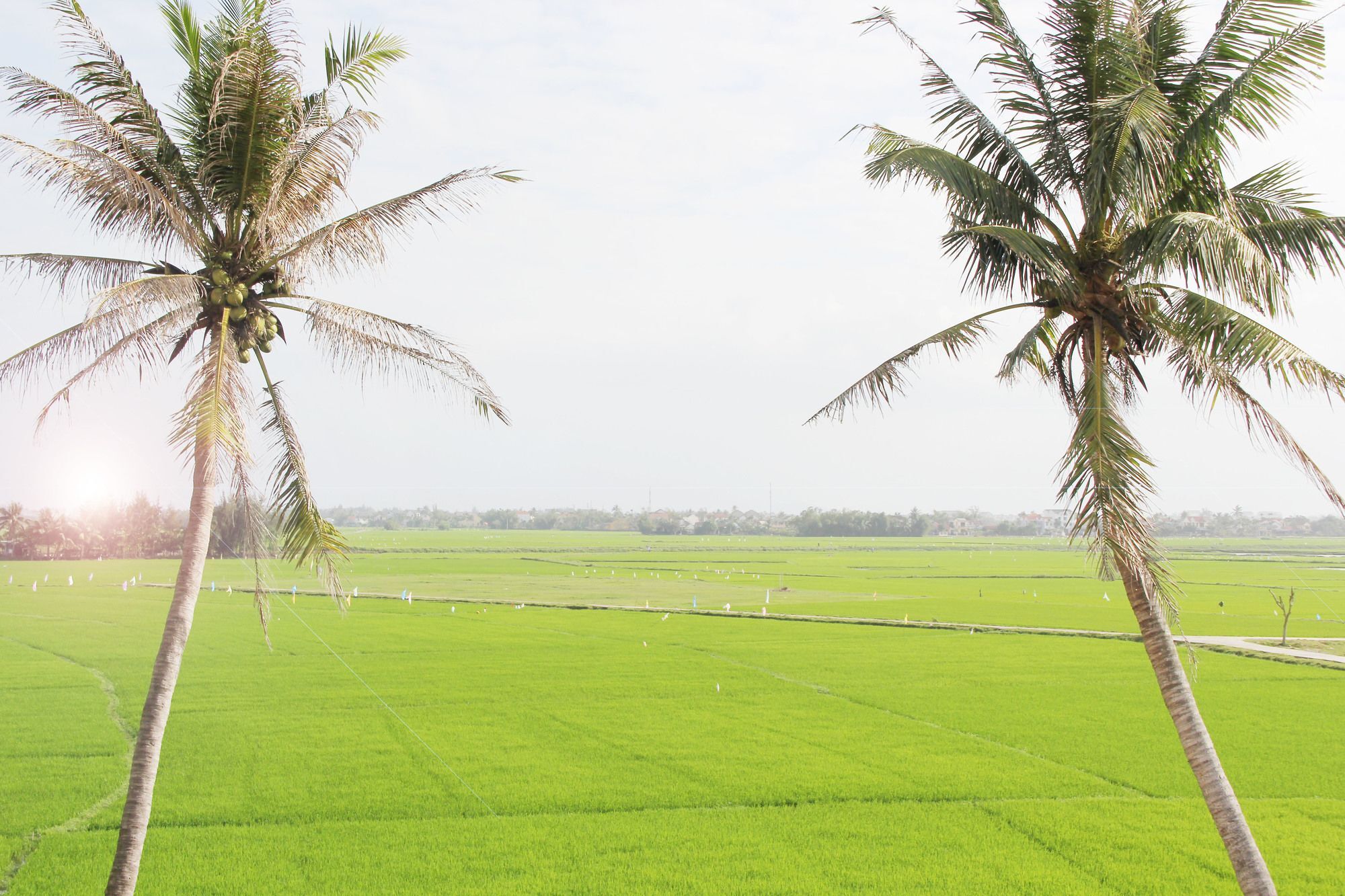 Hotel Four Season Hoi An