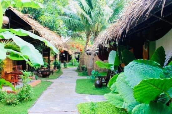 Under The Coconut Tree Hoi An