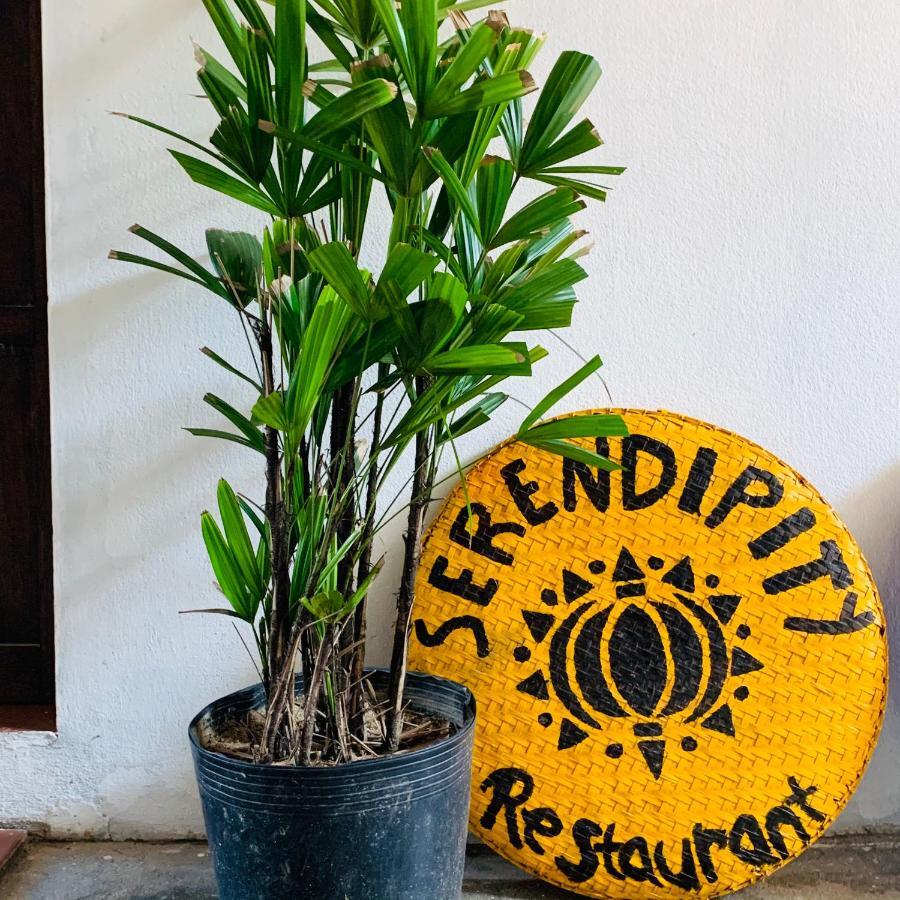 Hostel Serendipity Hoi An
