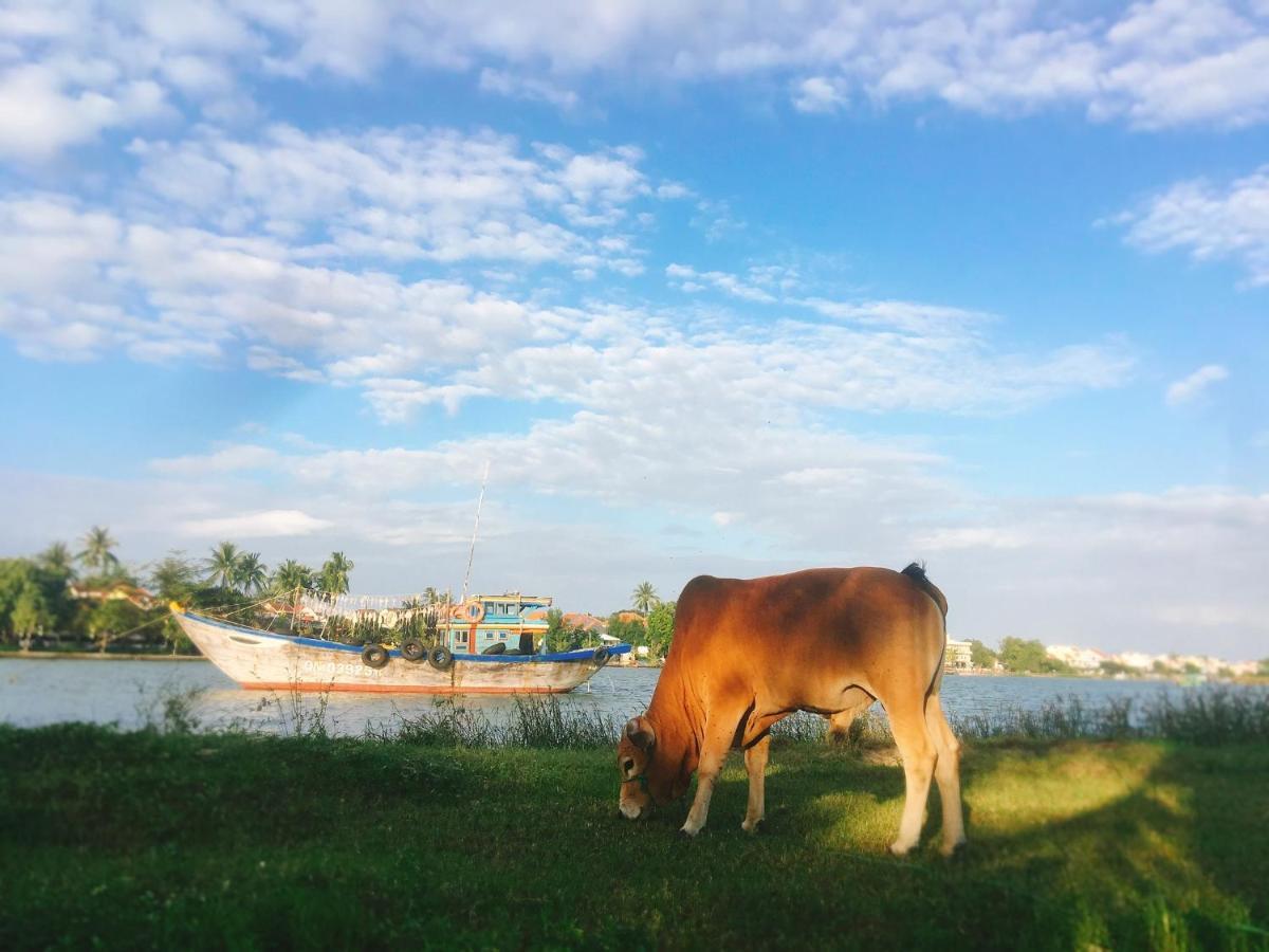 Rural Scene * Hoi An