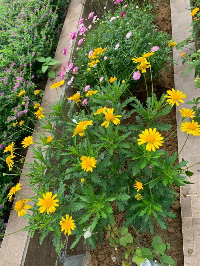 Villa Ylang Garden *