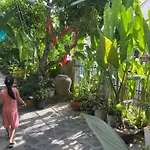 Hoi An Sunny Garden