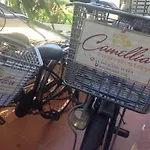 Camellia Homestay