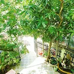 Xanh La Homestay Hoi An