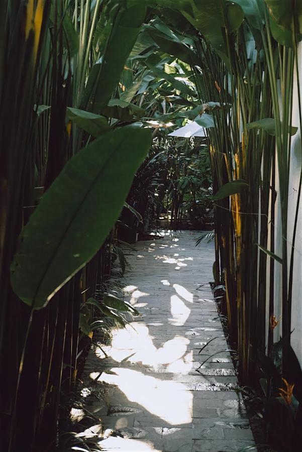 Tropical Hoi An