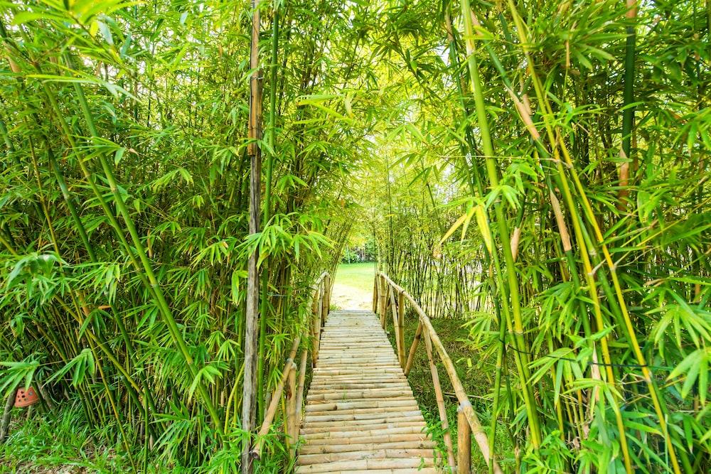 Allamanda Estate Hội An