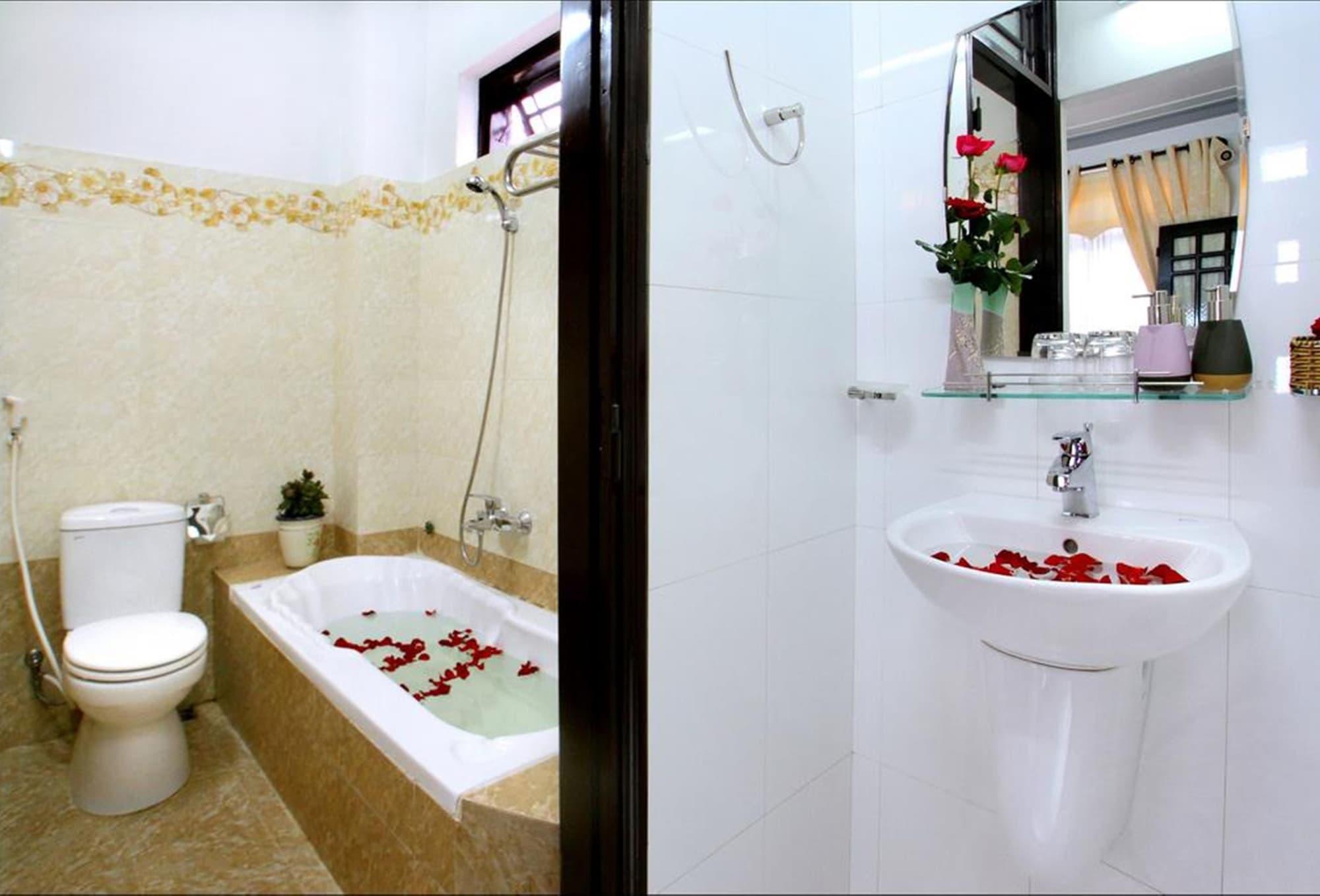 Camellia Hội An