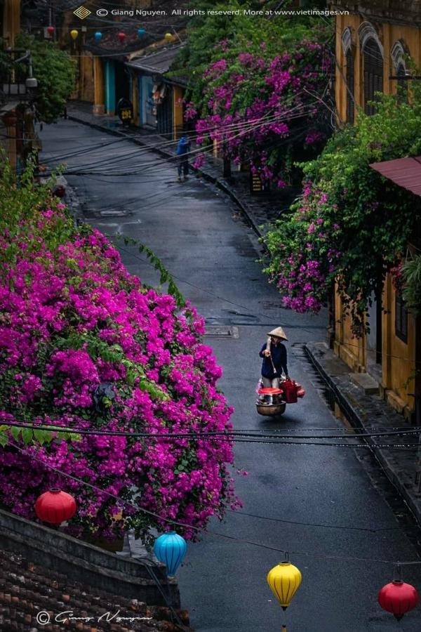 Hoian Mamson House Aparthotel