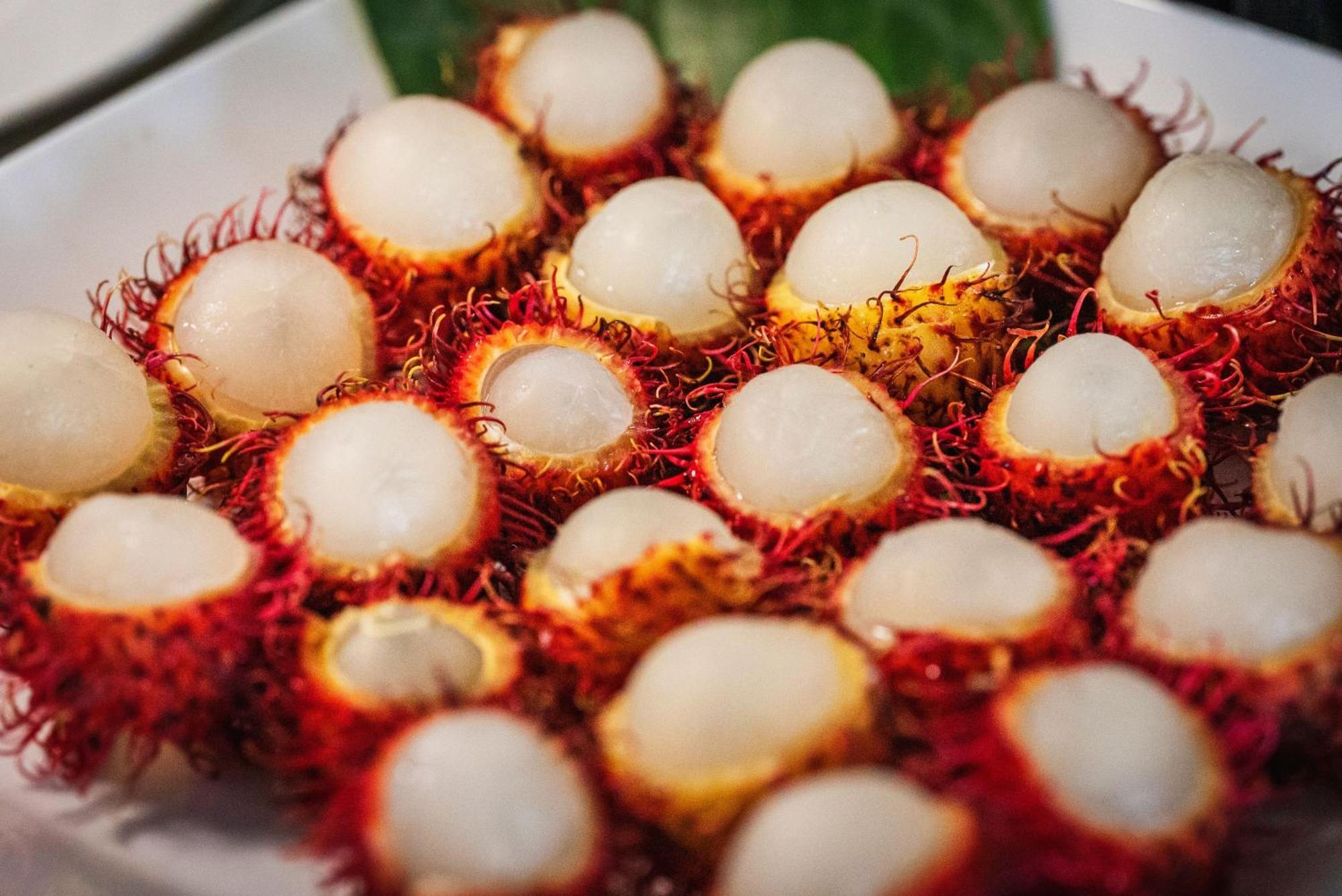 Hành Trình Hội An