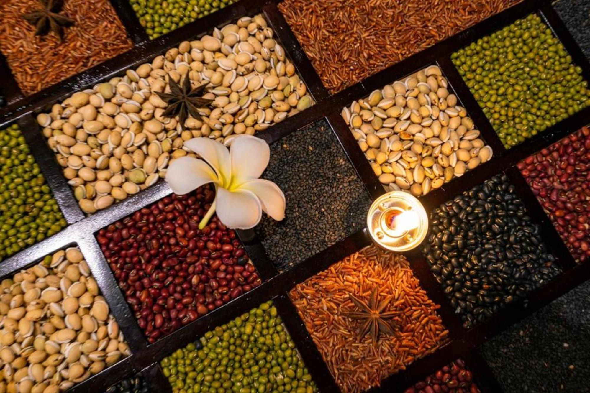 Hotel Cozy An Boutique Hotel Hoian Hoi An