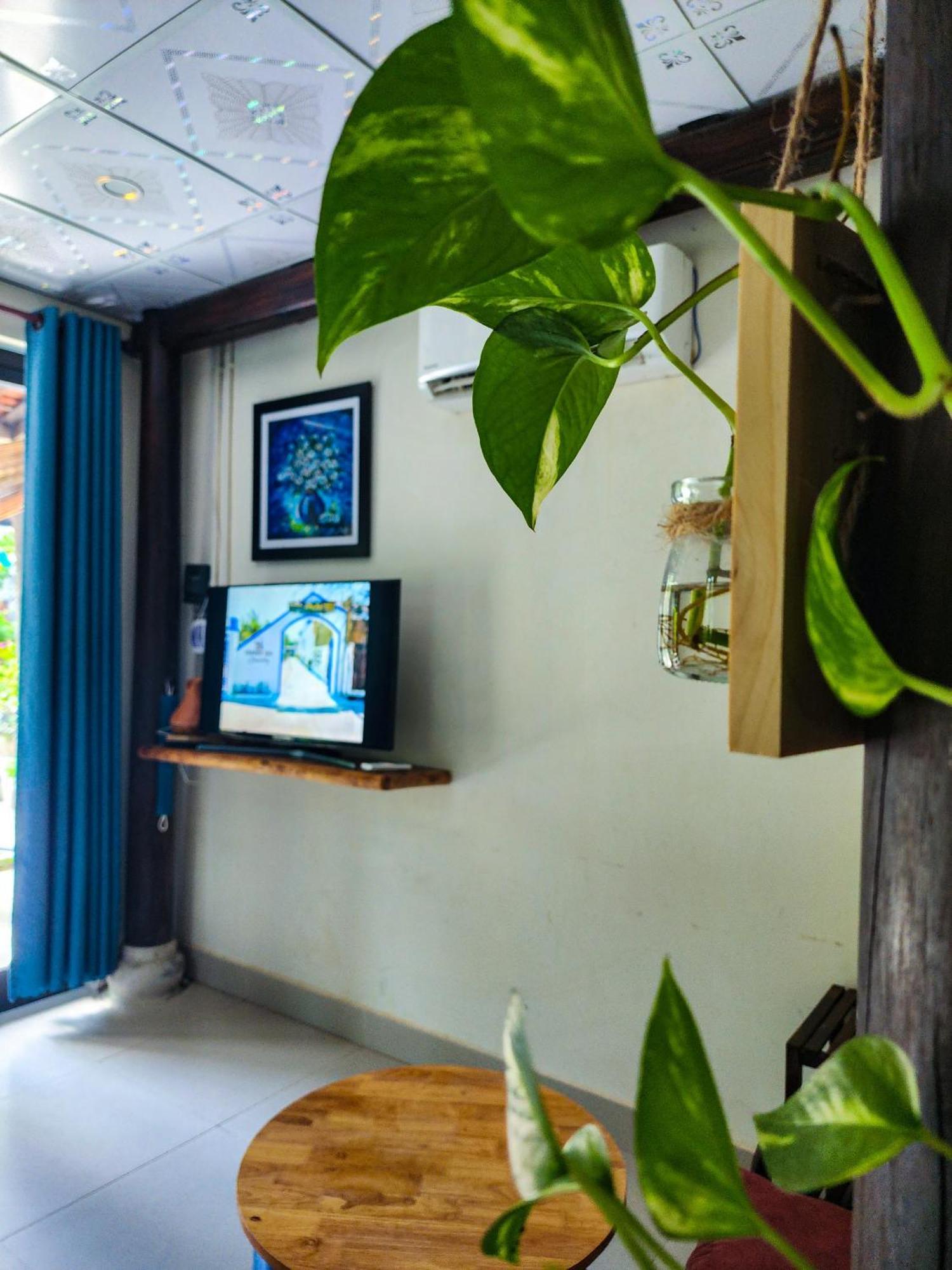 Homestay Dragon Sea *