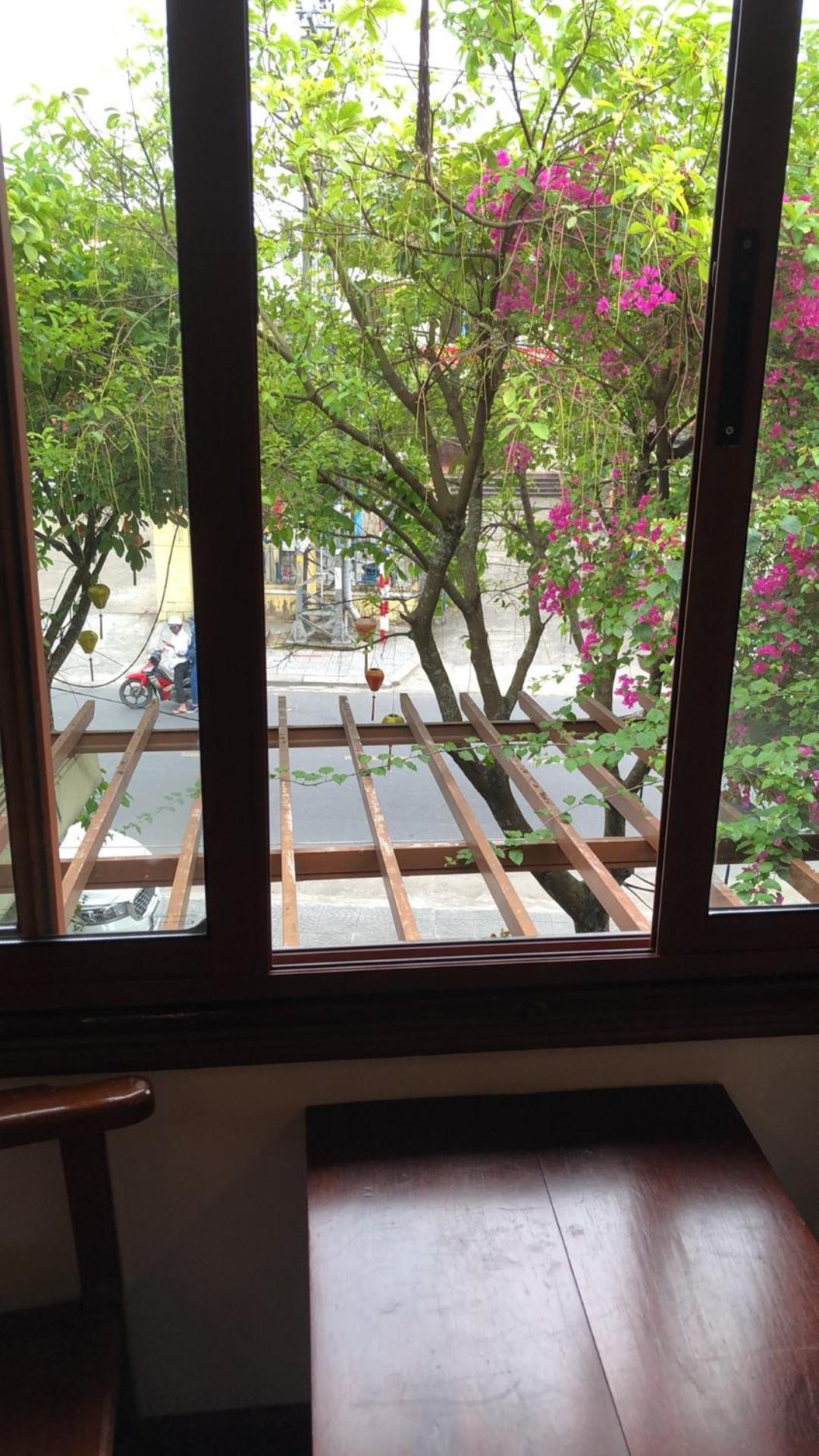 Thanh 1 2* Hoi An